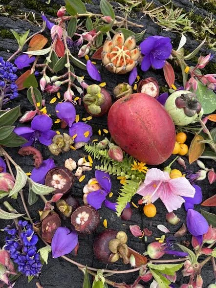 Mango/Mangosteen Tapestry on Lava Rock
