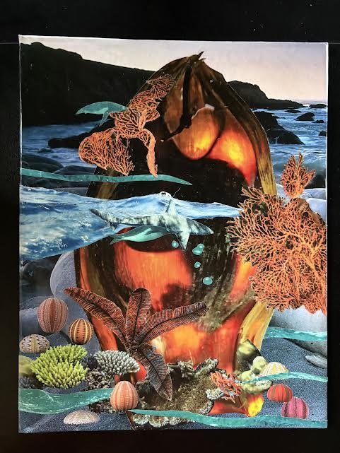 Mermaids Purse with Coral and Sea Urchins