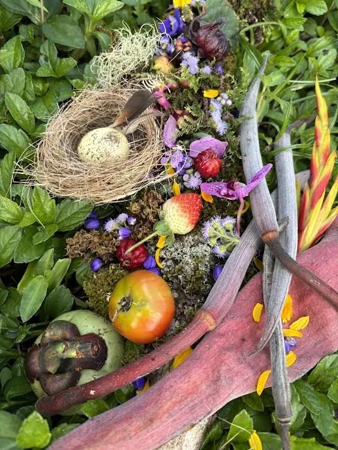 Rainforest Finds with Garden Magic