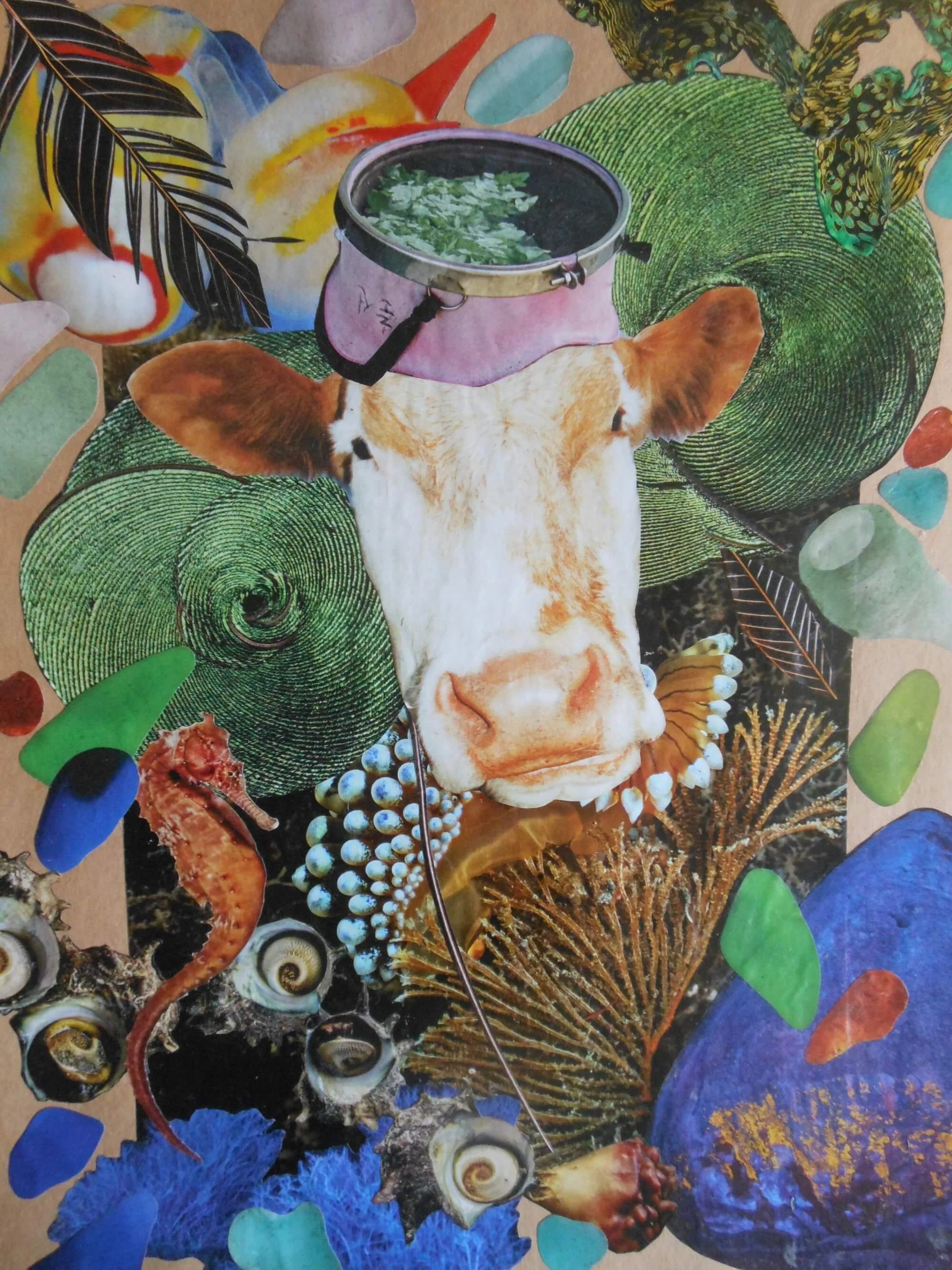 Ms. Cow GOES Snorkeling in the Saragasso Sea