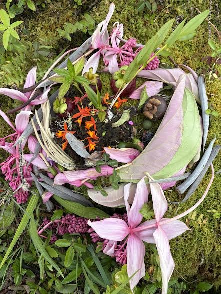 Medinilla Magnificia Mandala with Cecropia Pods and Mangosteens