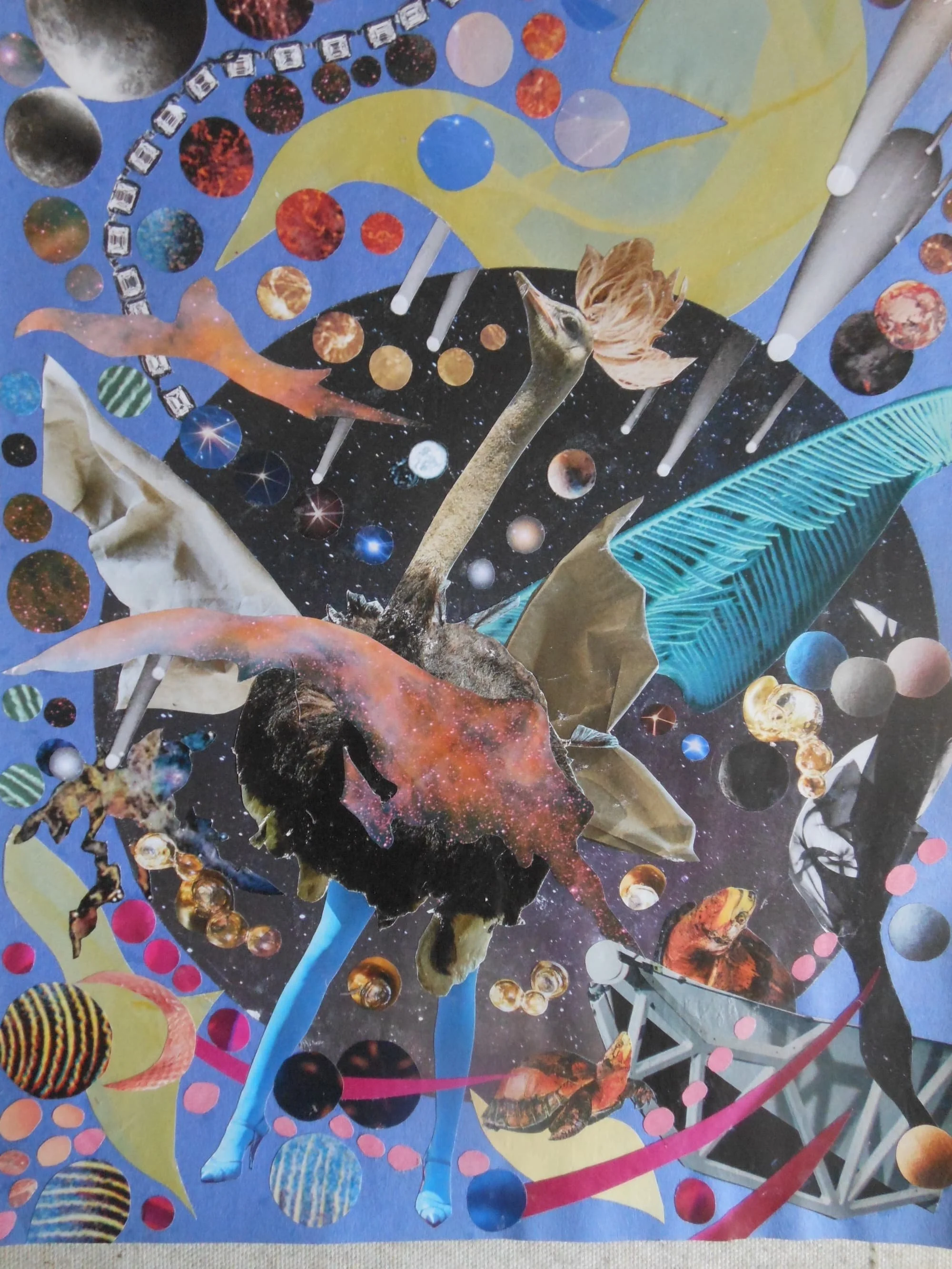 Ostrich Dances in Space with Shooting STARS