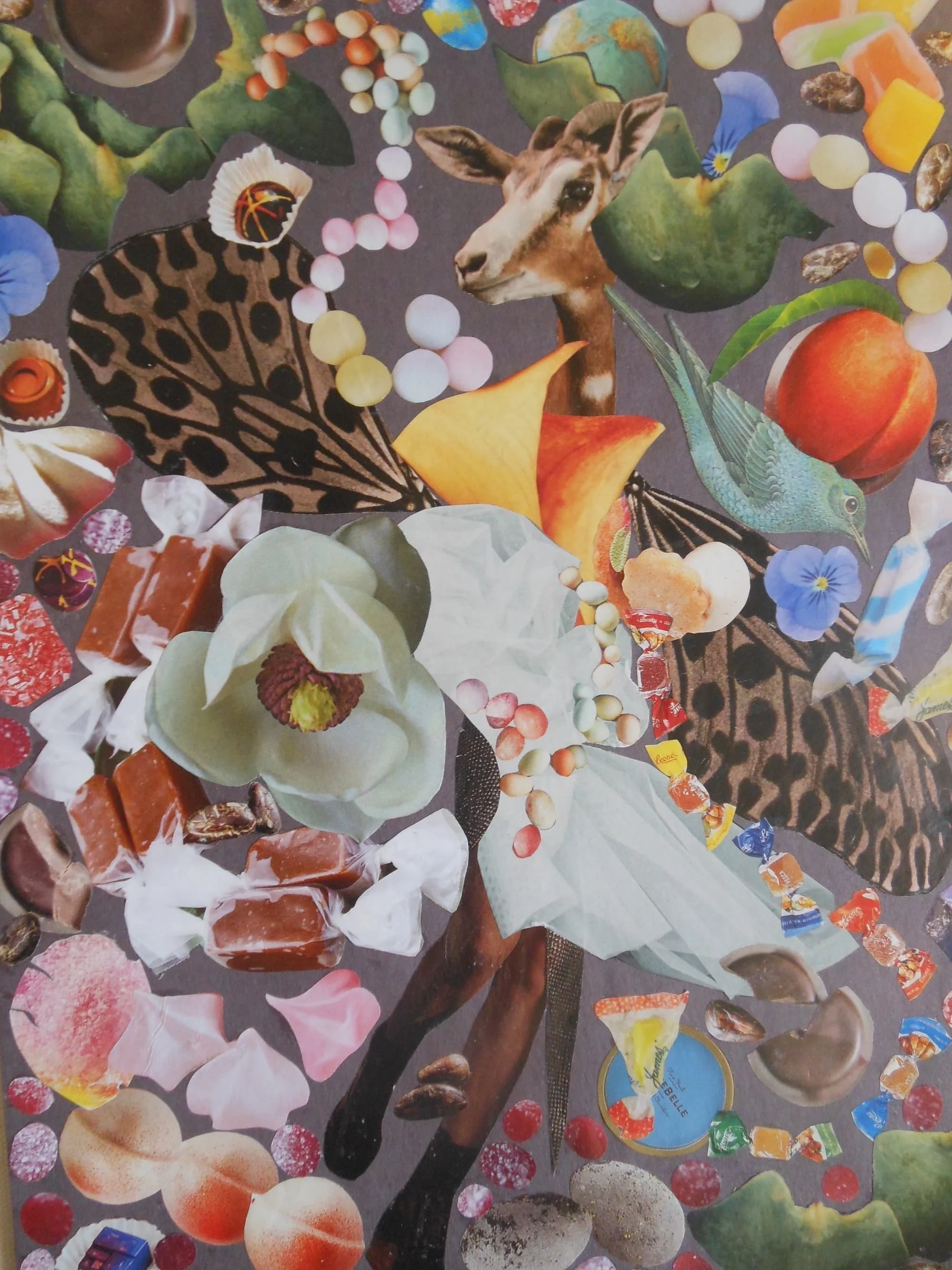 Winged Pronghorn IN Candy Land