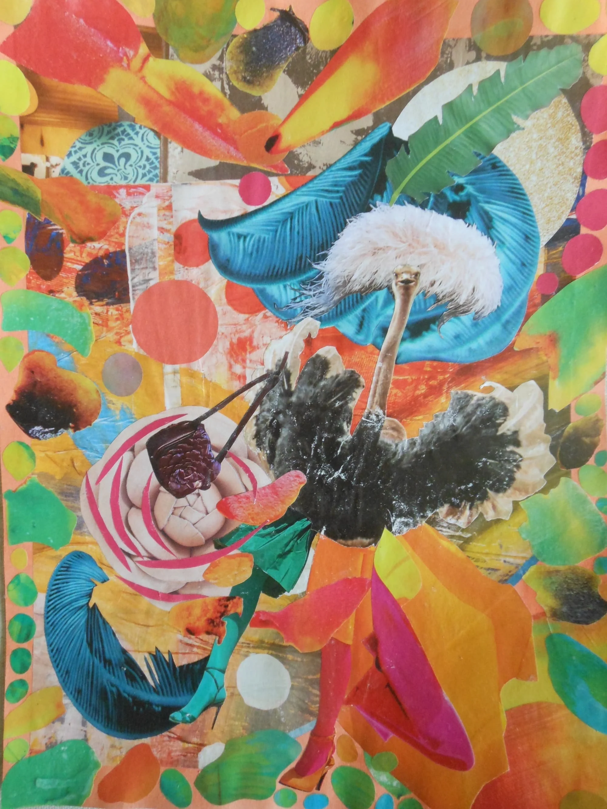 Ostrich Fashionista with FEATHERS