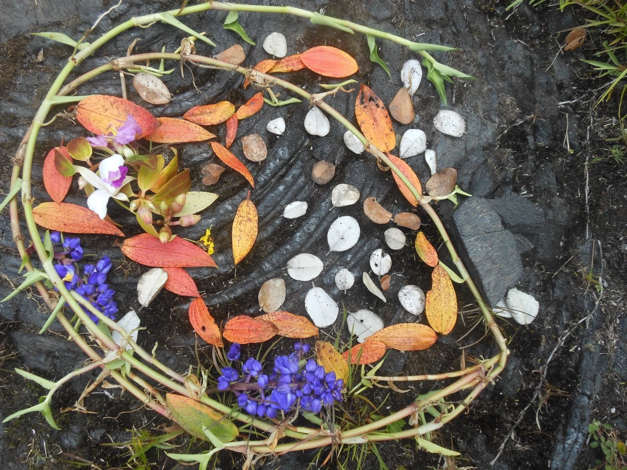 LEAVES, Vines and Petals on Lava Rock