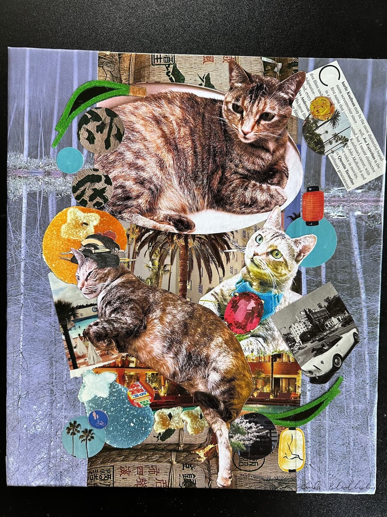 Marc's cat Luck