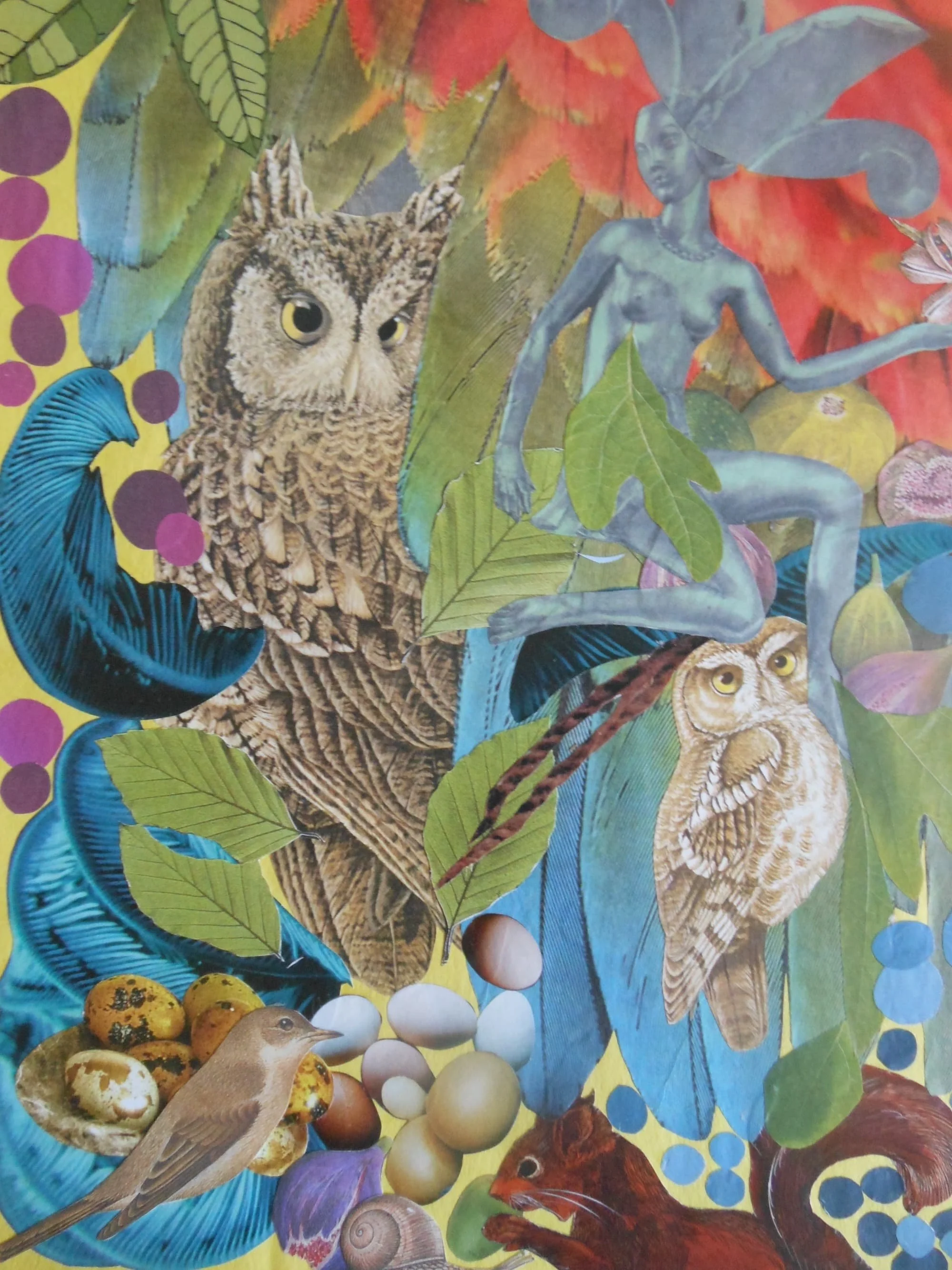 OWLS and Woodland Sprite