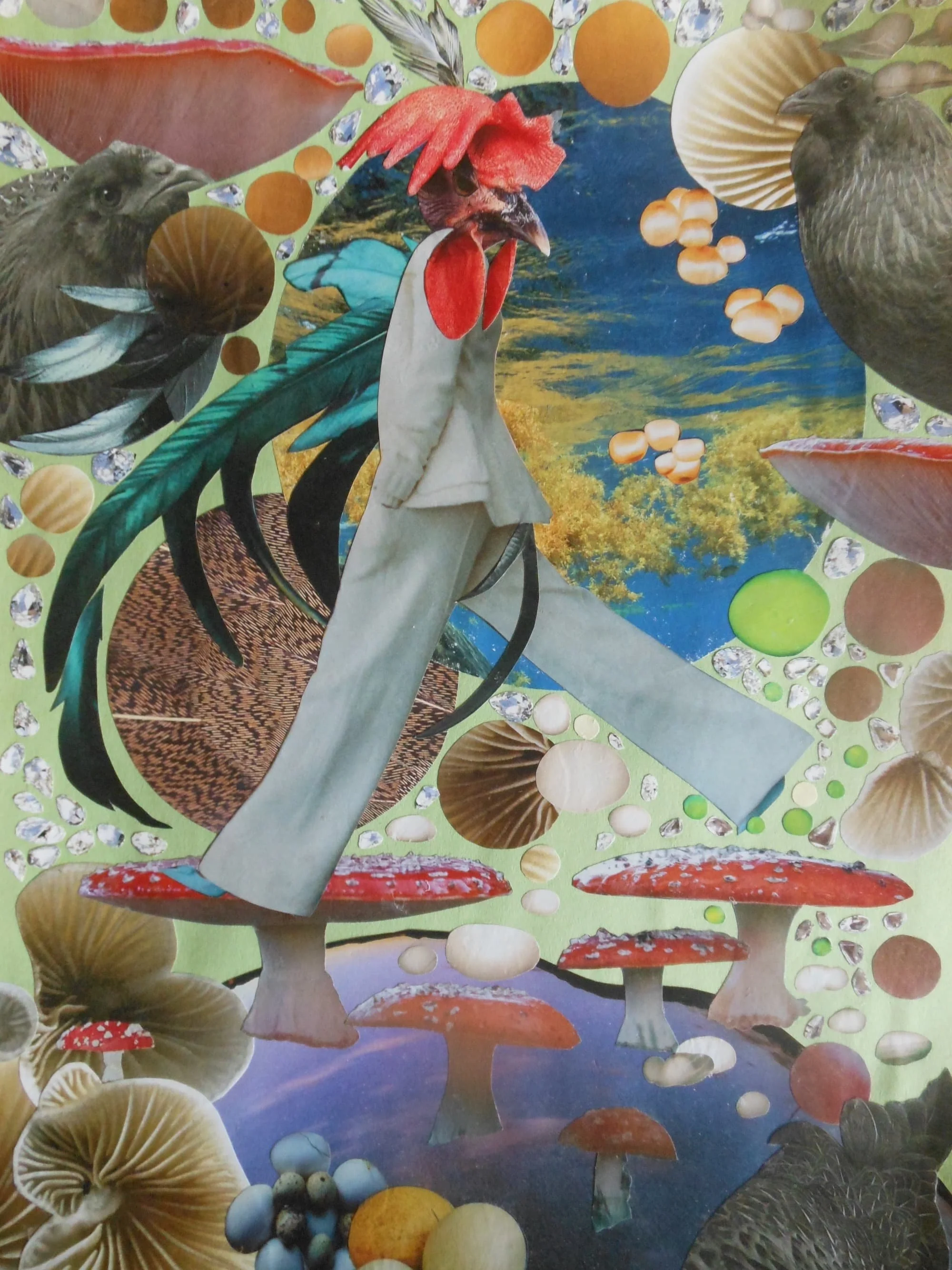 Walking ON Magic Mushrooms