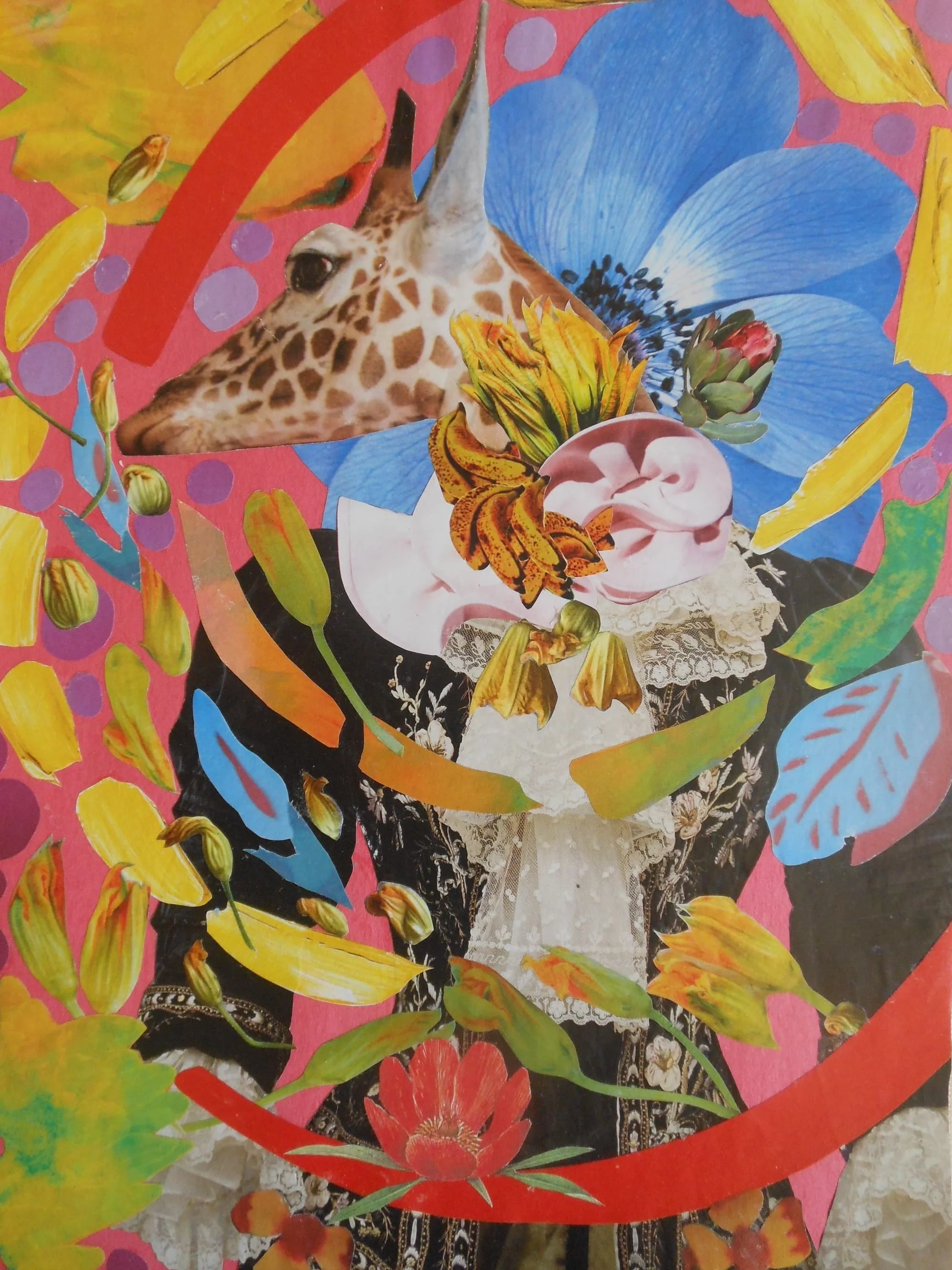 The Lovely Giraffe in BLACK Frilled Coat