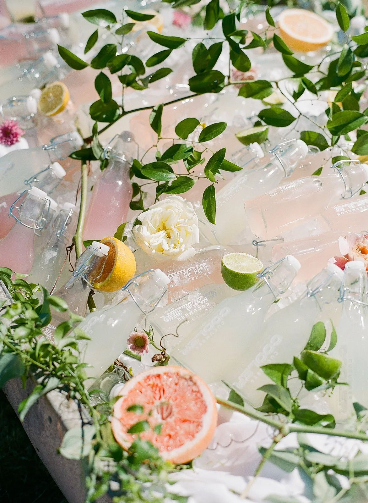 Molly Sid Wedding-1037.jpg