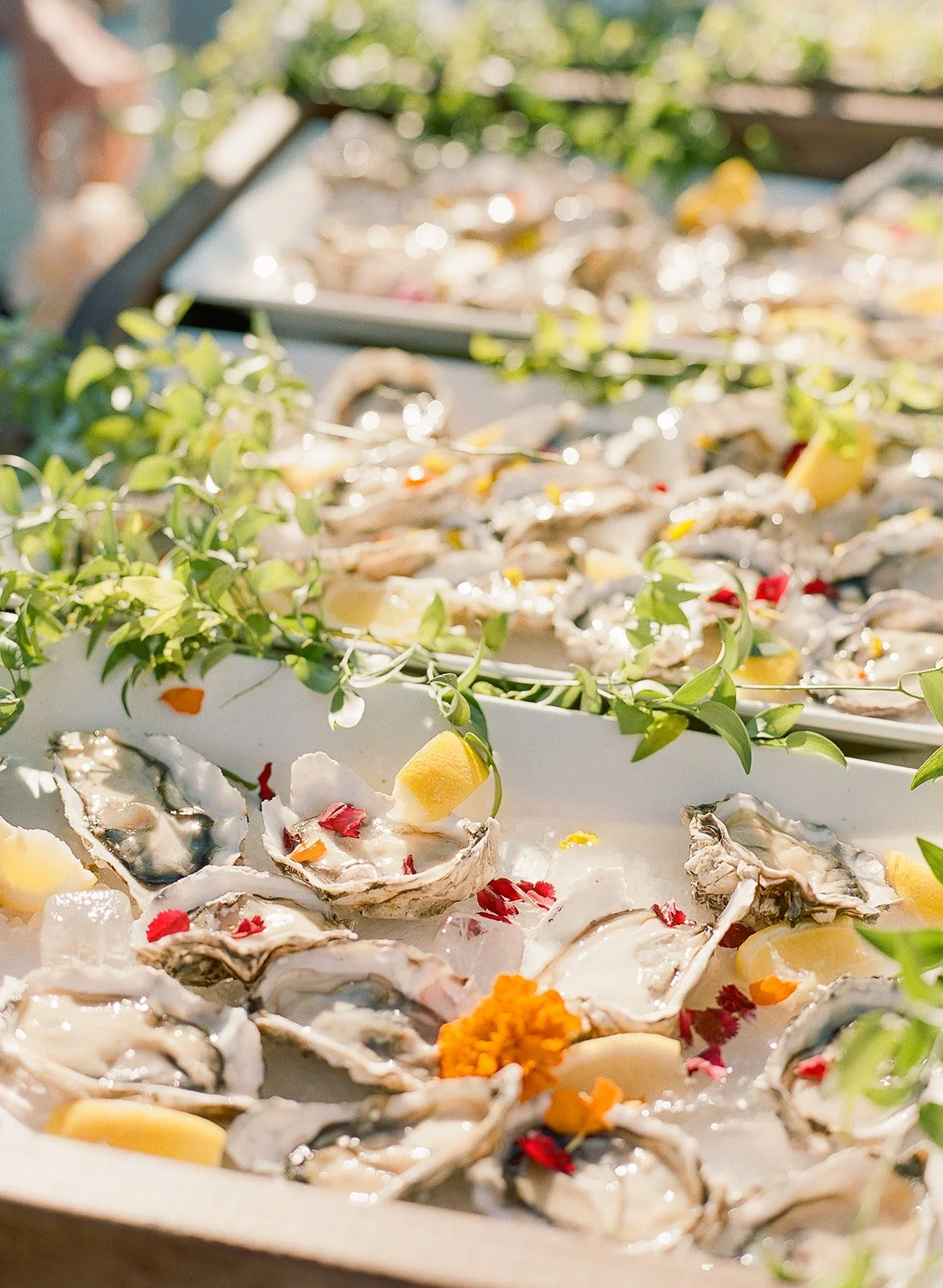 Molly Sid Wedding-1100.jpg