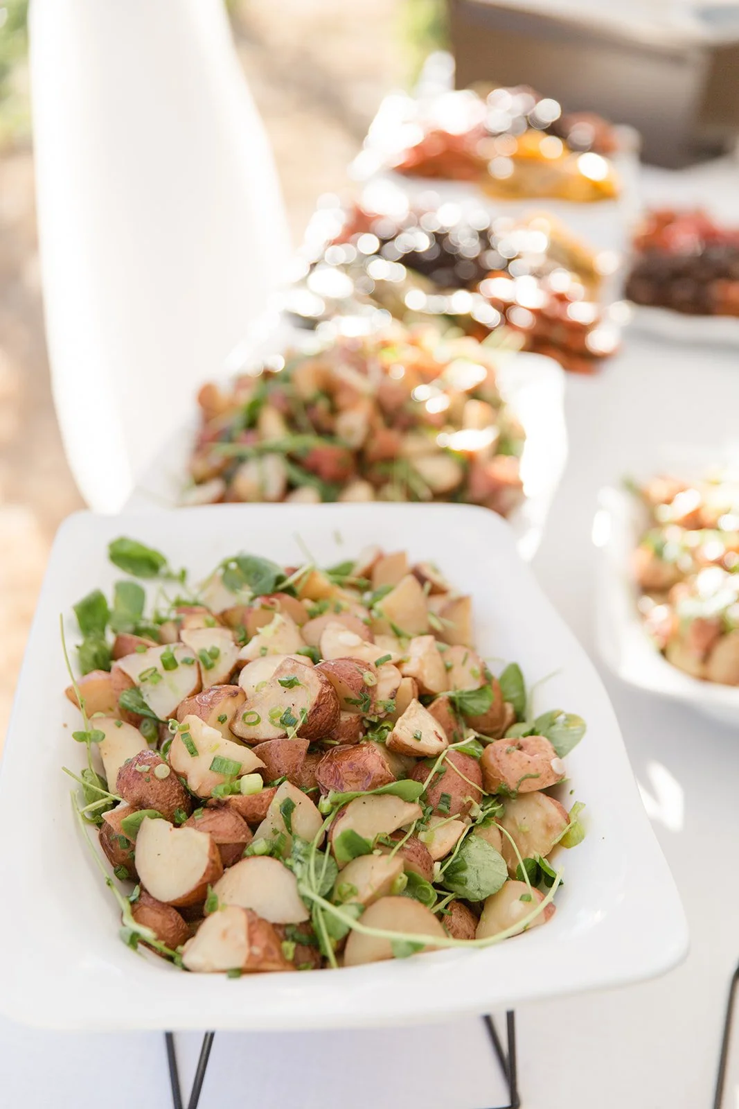 Molly Sid Wedding-1344.jpg