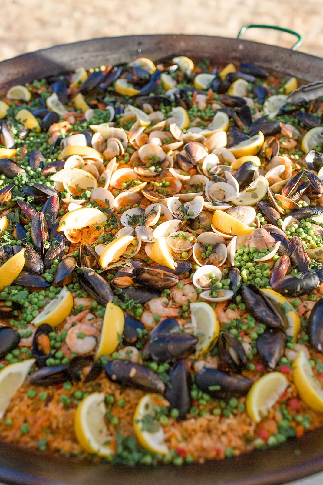 Molly Sid Wedding-1451.jpg