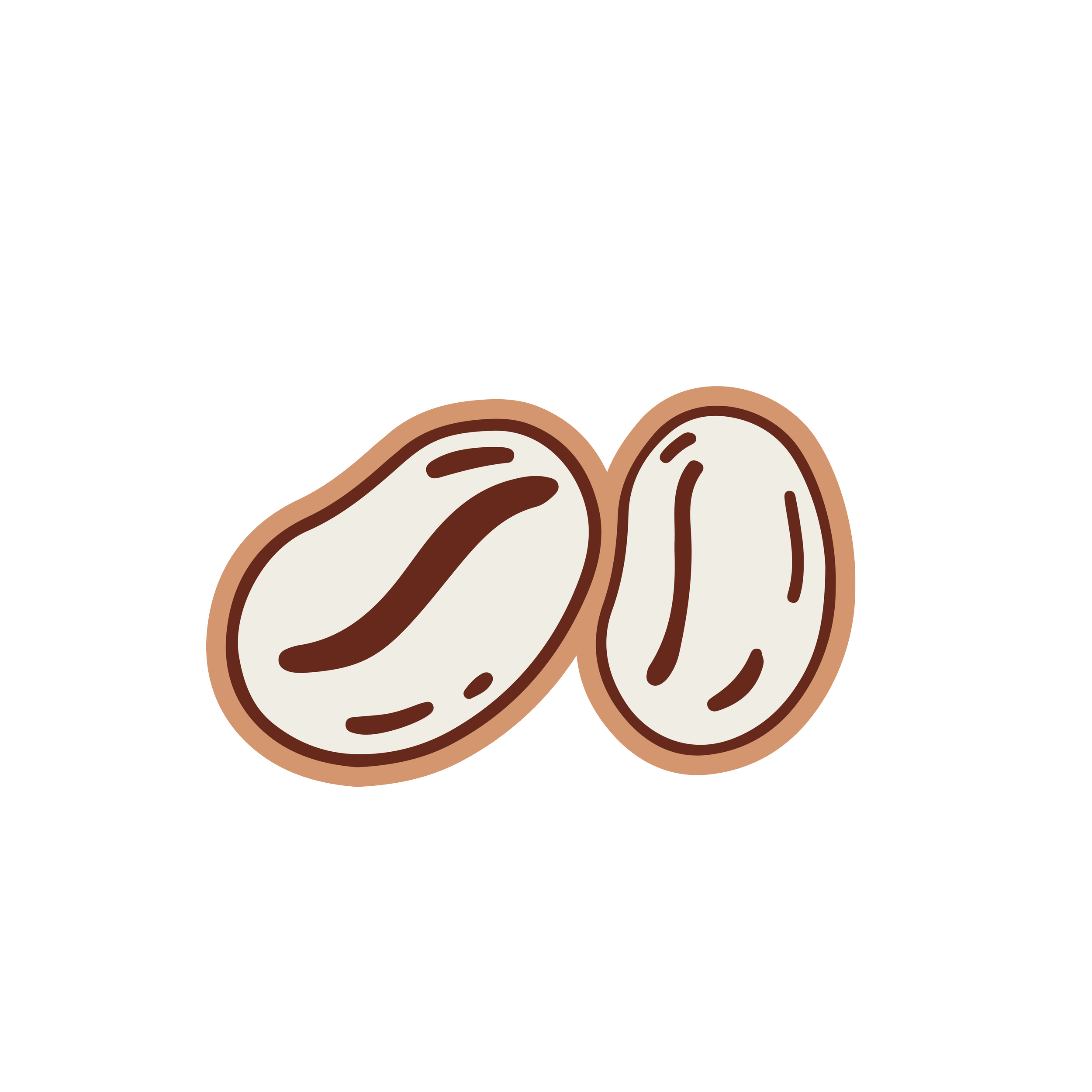 Illustration de deux grains de café.