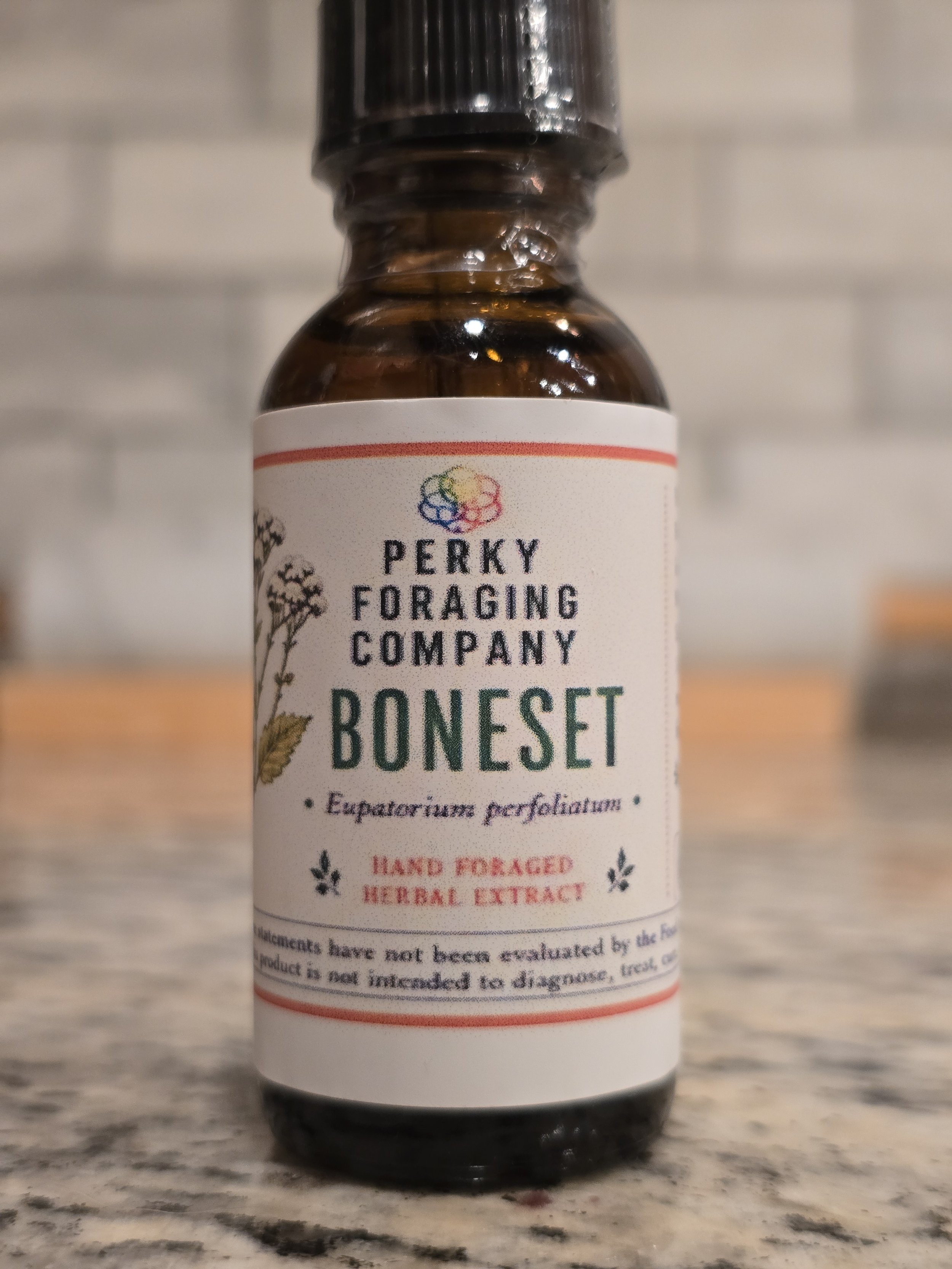 Boneset Tincture – Wildcrafted Herbal Extract – 1 oz / 2 oz (Best Value)