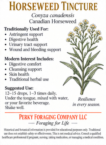 HORSEWEED.png