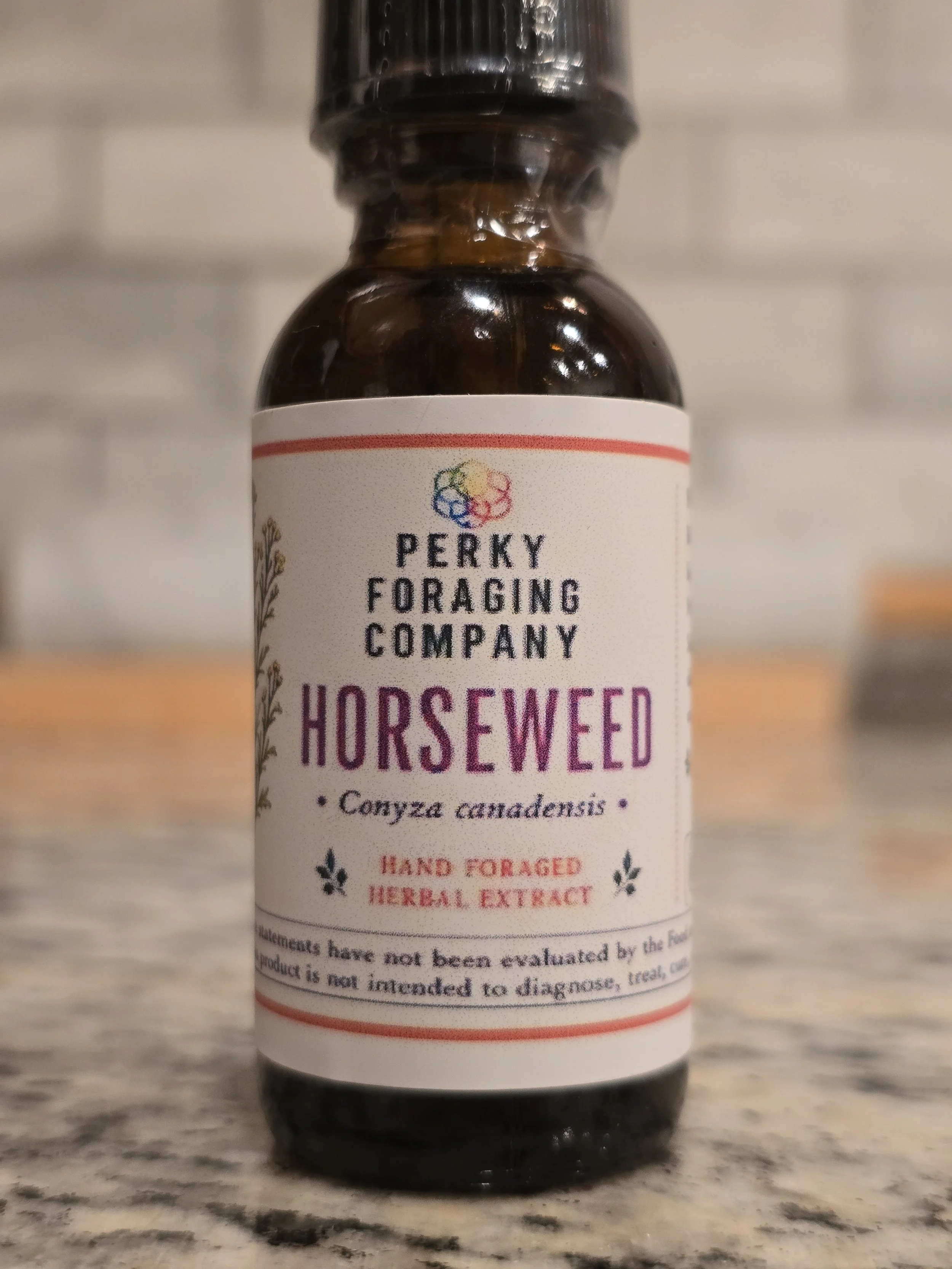 Horseweed Tincture – Wildcrafted Herbal Extract – 1 oz / 2 oz (Best Value)