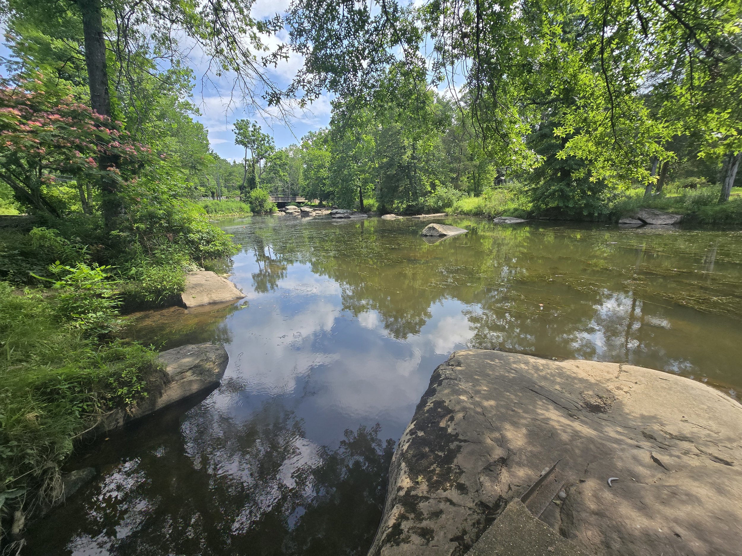 20250714_110718.jpg (Copy)