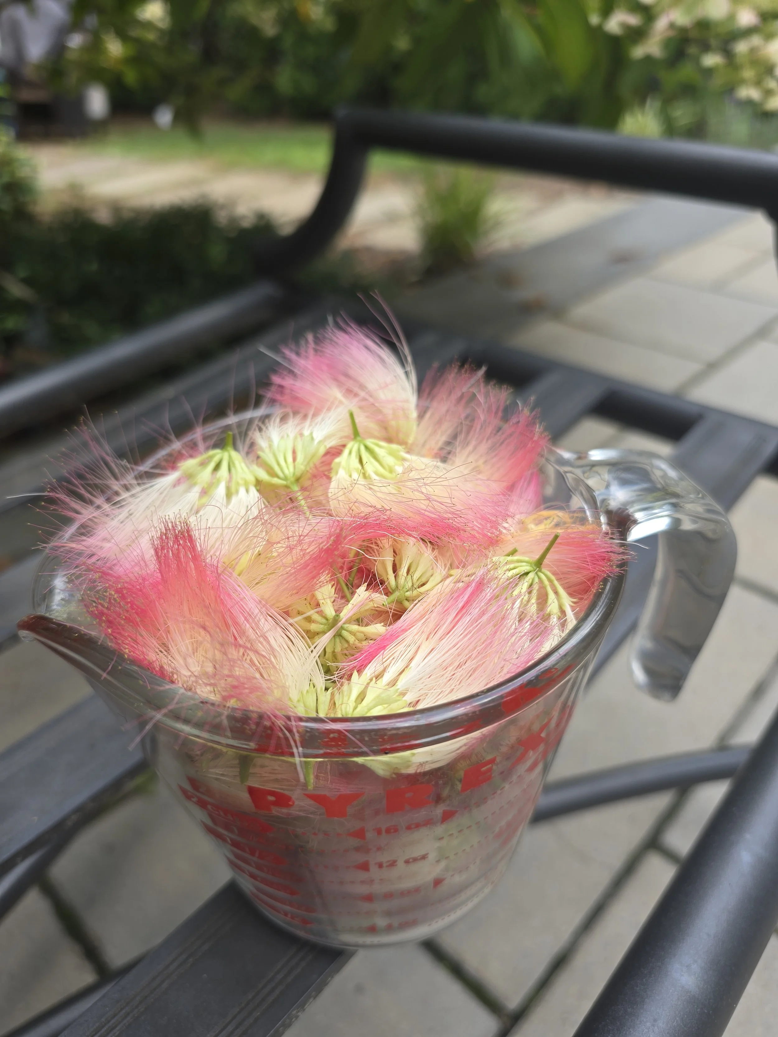 20250716_142255.jpg (Copy)