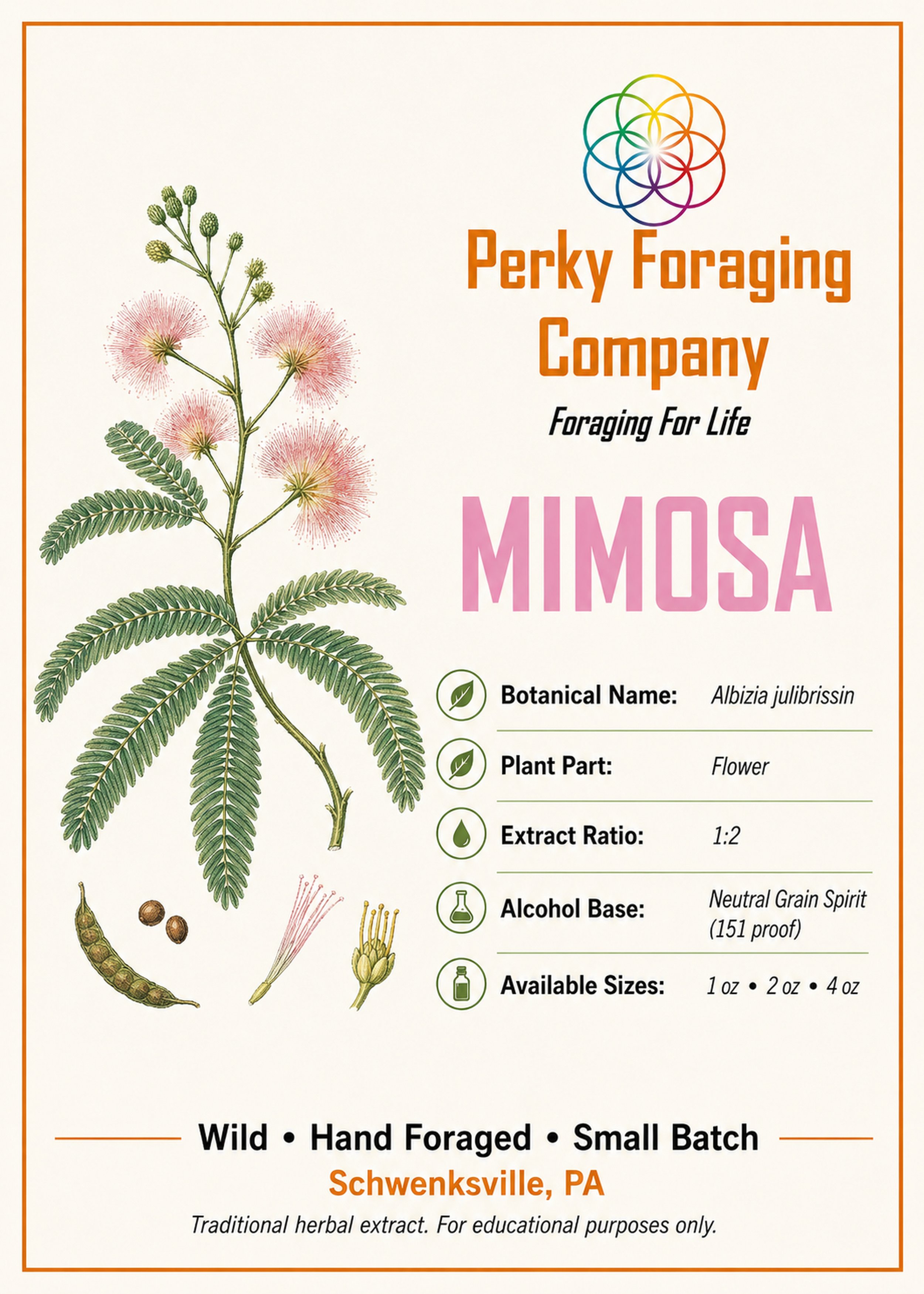 Mimosa tincture display card with vintage botanical illustration