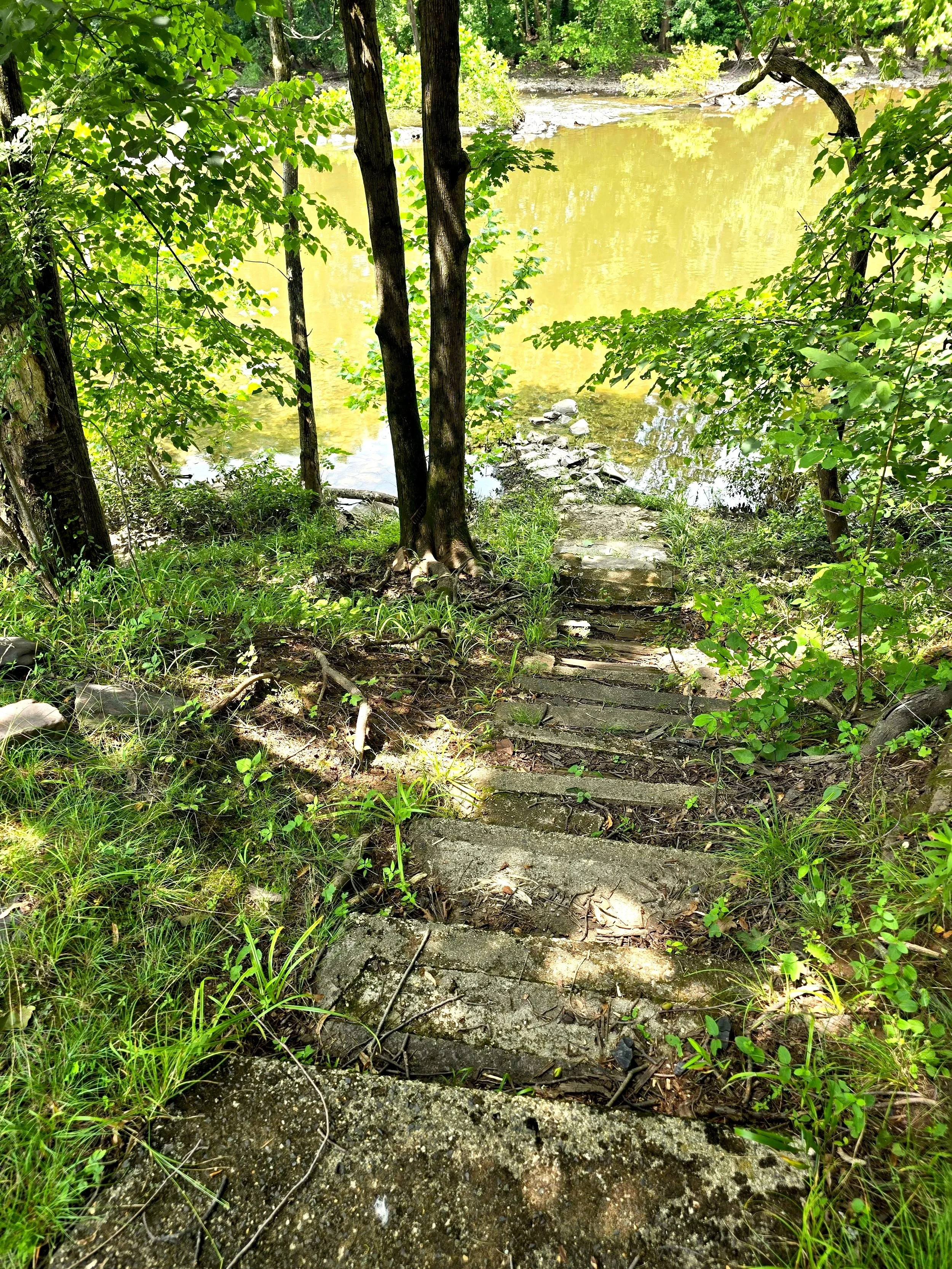 20250712_125550.jpg (Copy)