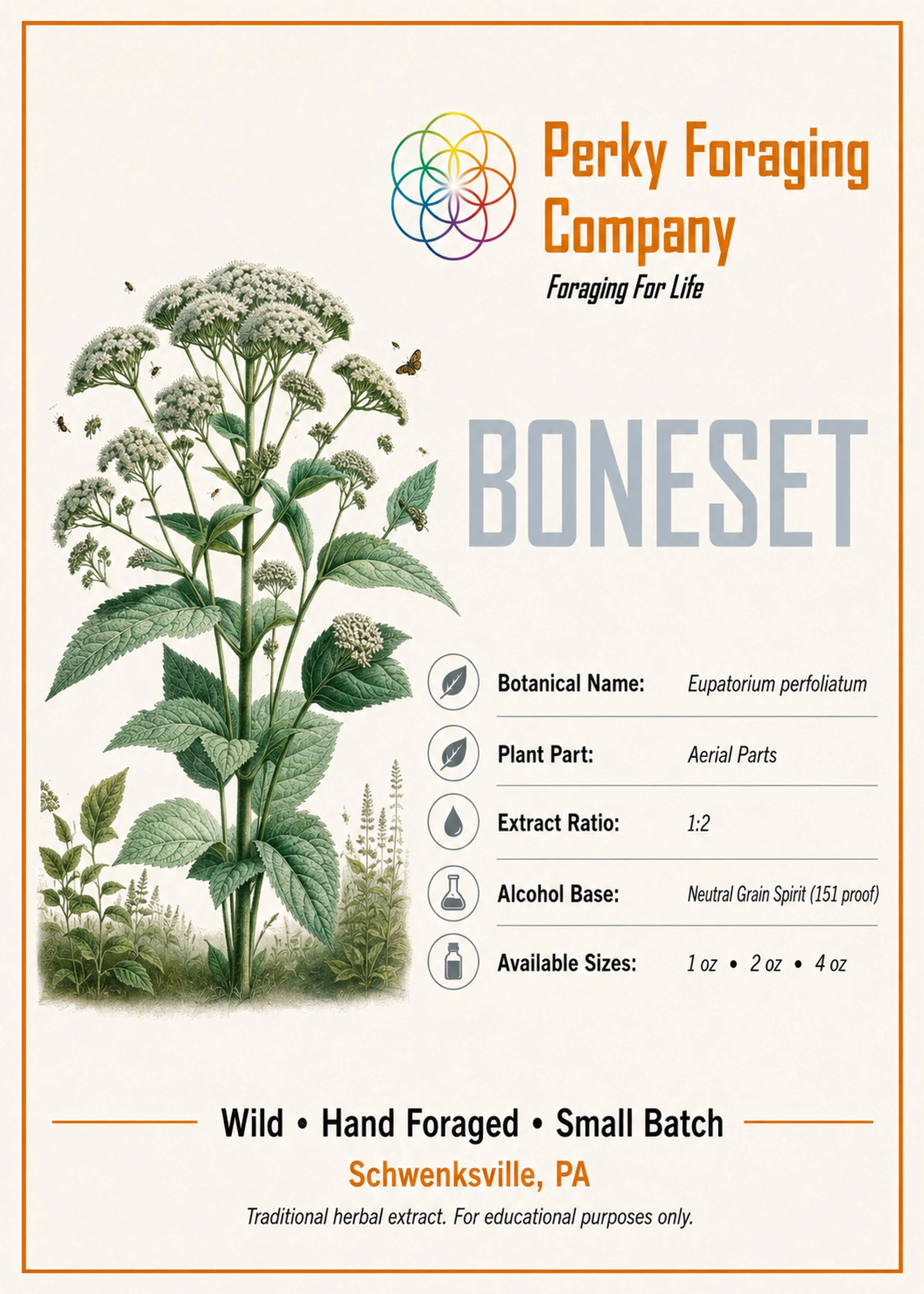 Boneset tincture display card with vintage botanical illustration