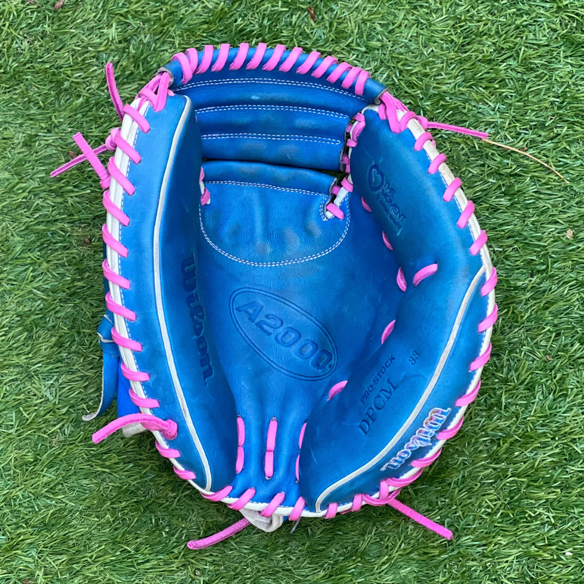 Cleaning & Conditioning