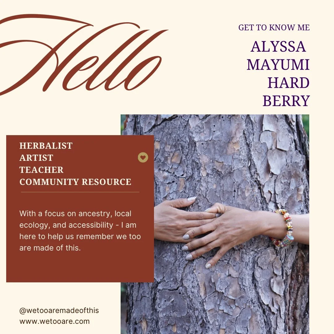My virtual hut in the woods is built. You are welcome to enter 🫂🕯️✨ I&rsquo;m here to serve, witness, and guide all who seek this medicine. In reverence, love, and gratitude always to every type of being that blesses this path and shares its medici