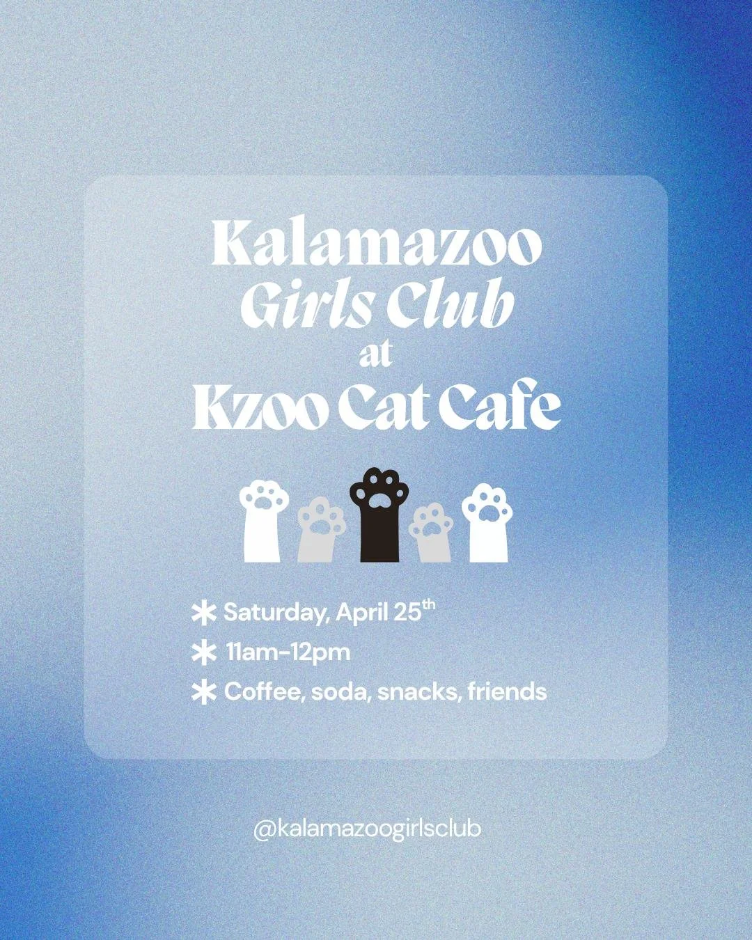 Cat Cafe Visit with Kzoo Cat Cafe & Rescue