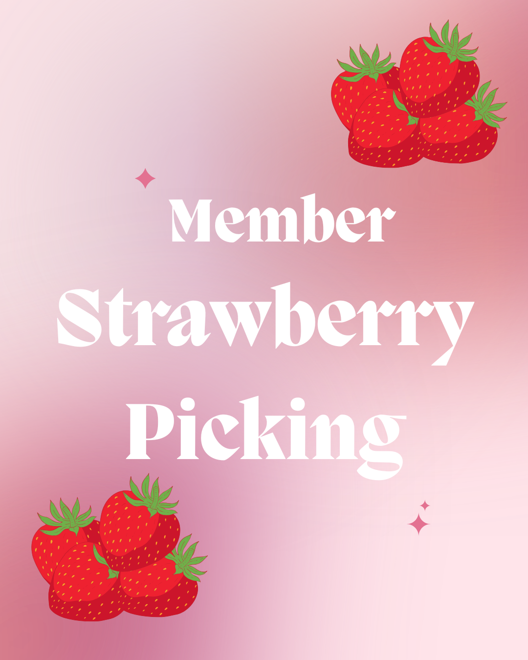 Strawberry Picking