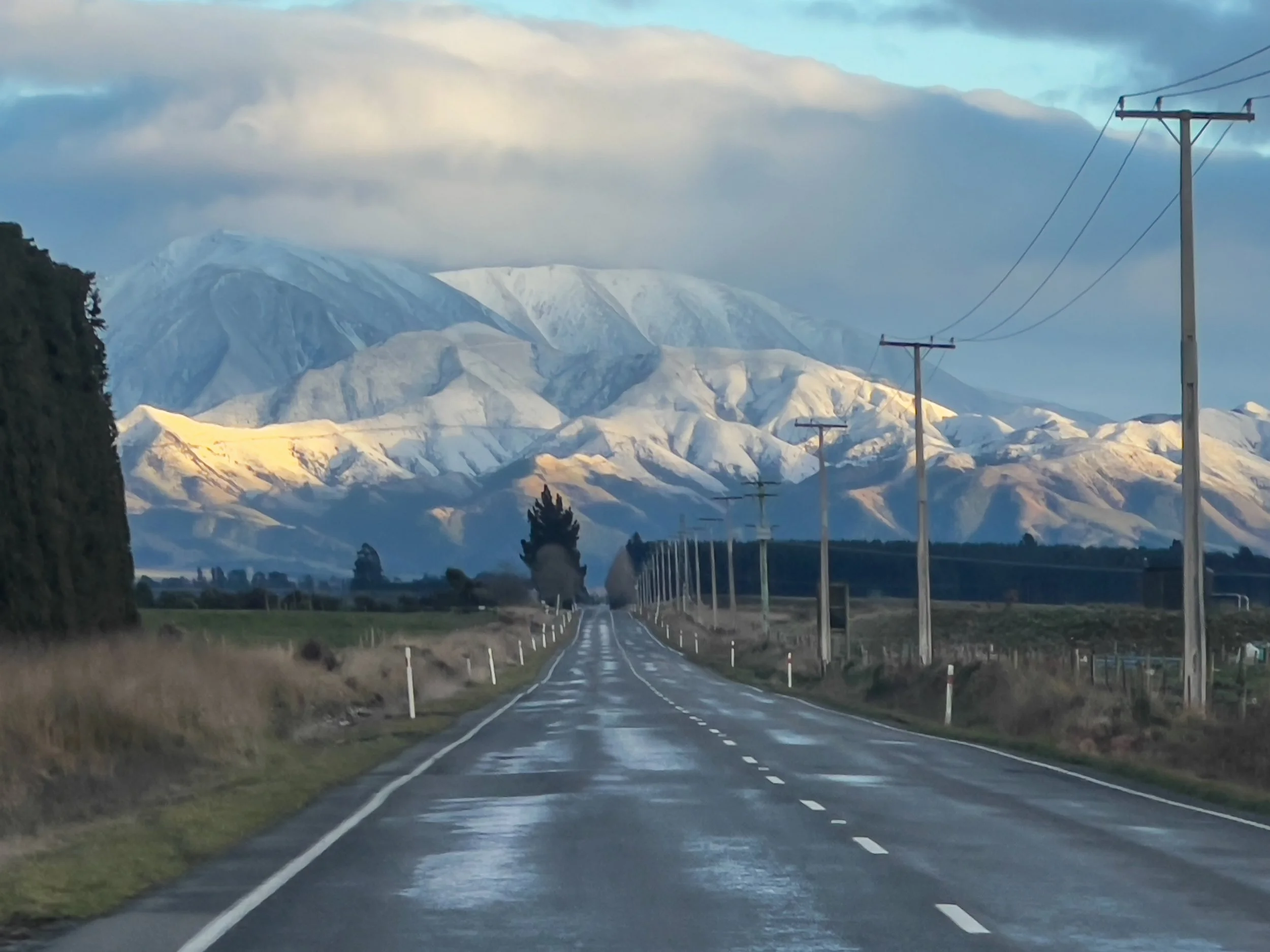 Library - 1 of 144.jpg