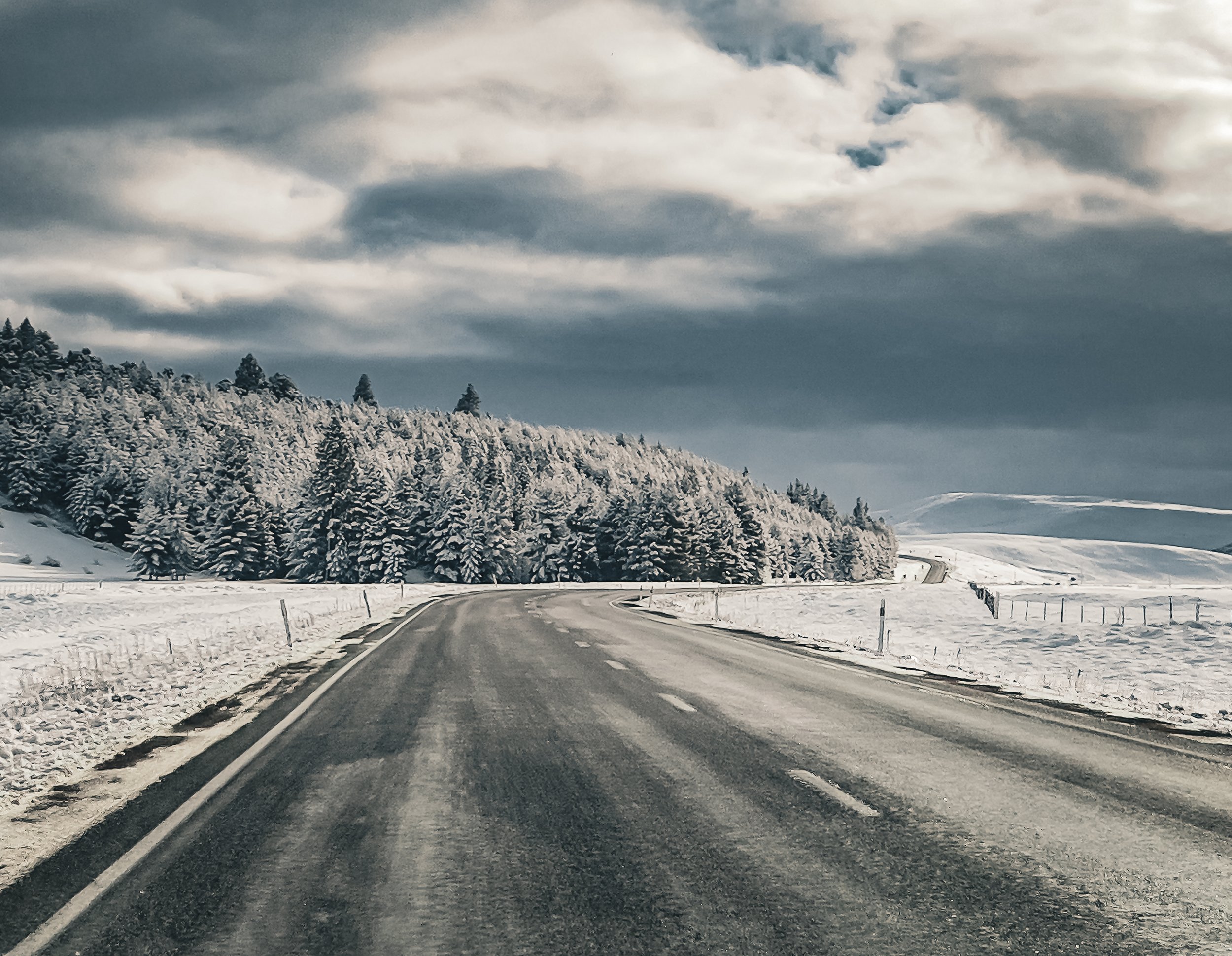 Library - 61 of 144.jpg