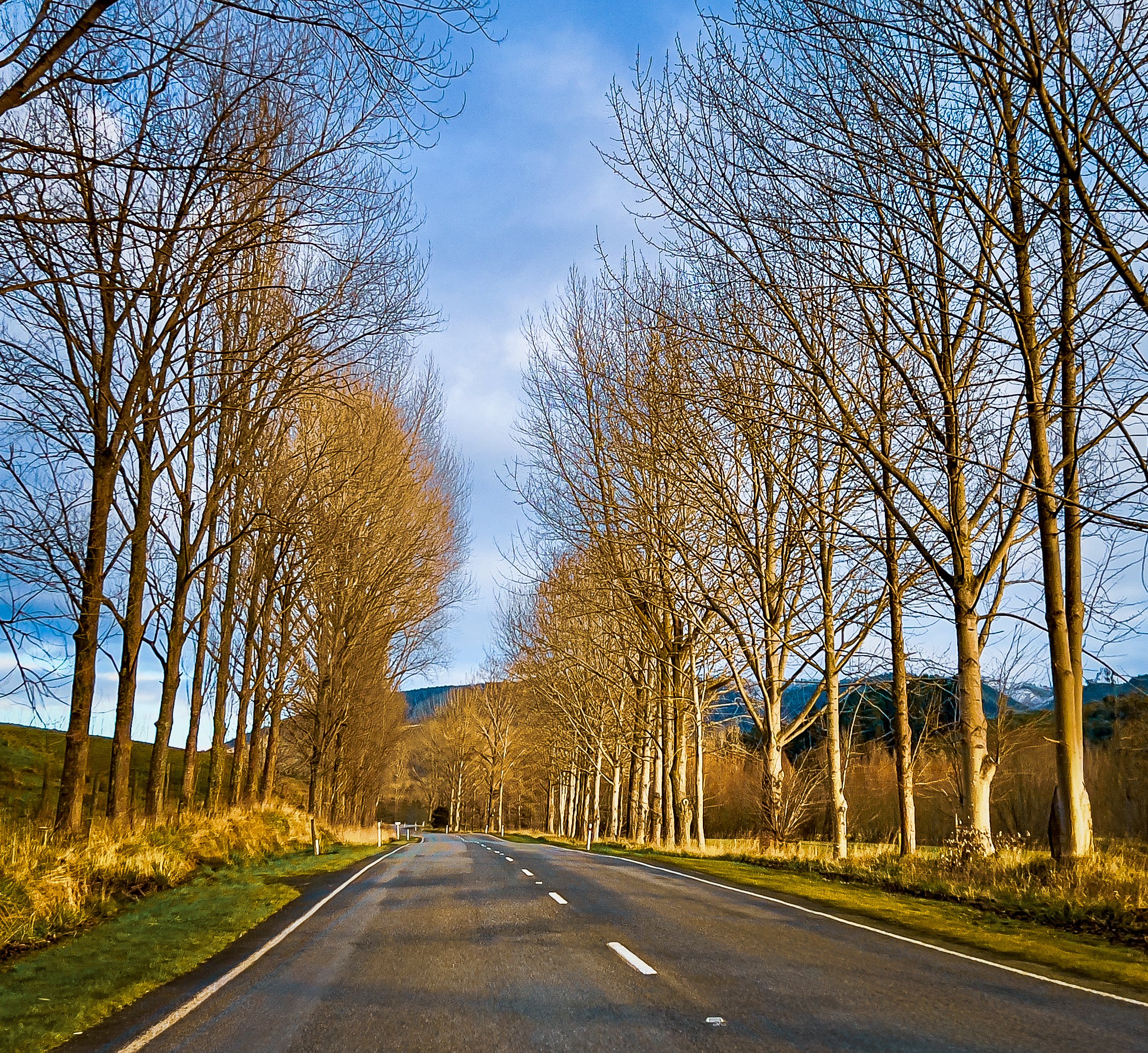 Library - 13 of 144.jpg