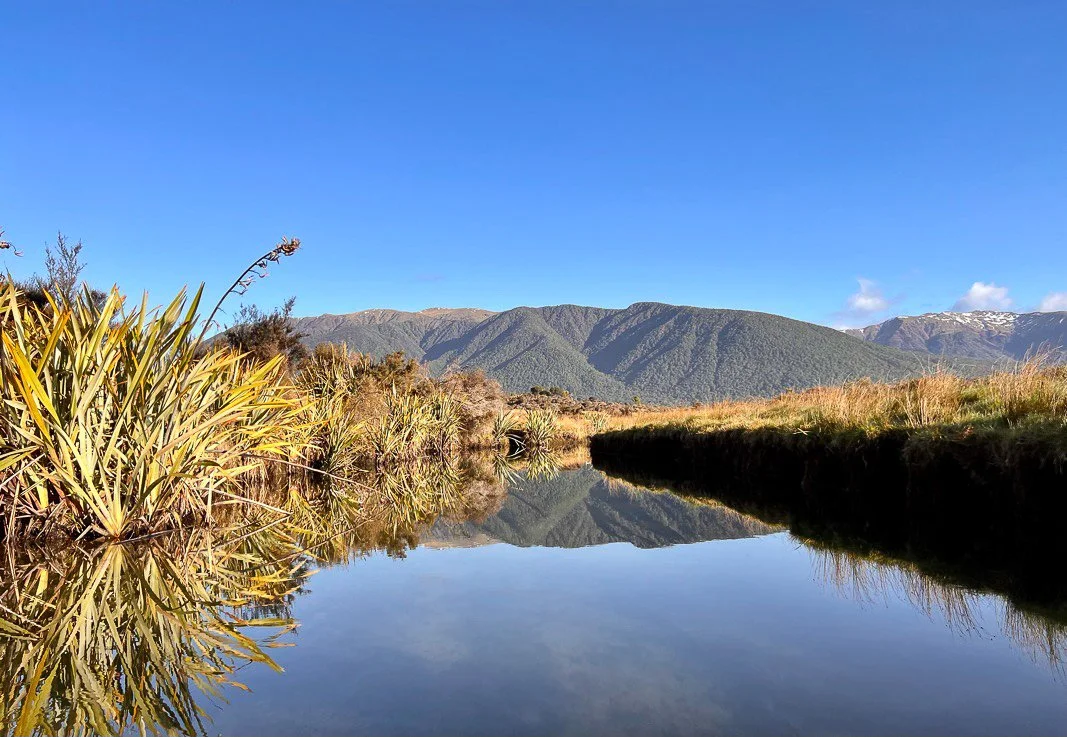 HopeKiwiHutUpload00010.jpg