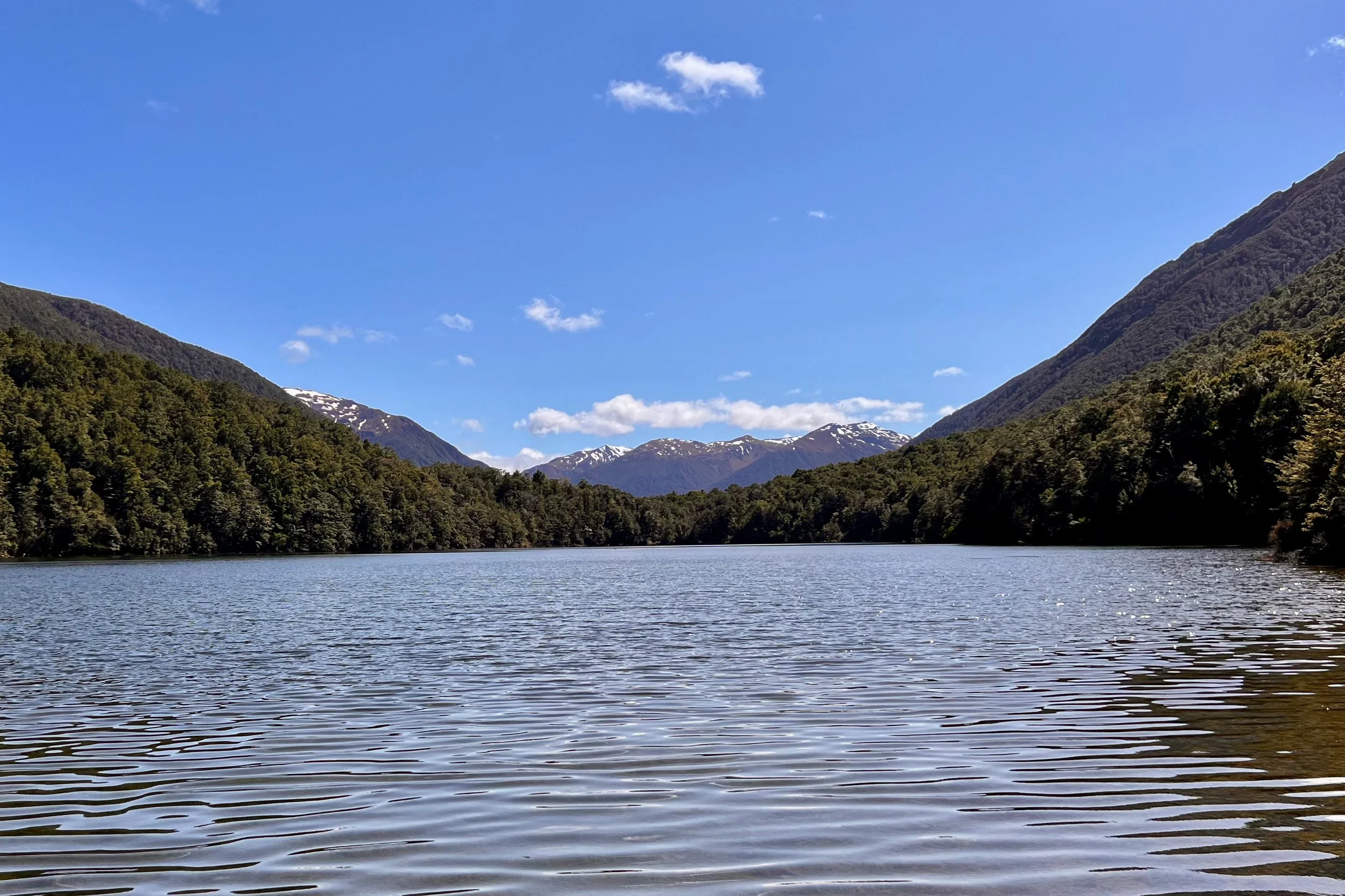 HopeKiwiHutUpload00015.jpg