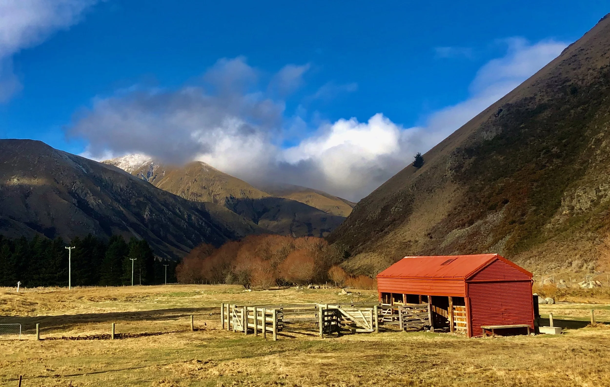 Lake Heron 2021.06. South Island, New Zealand