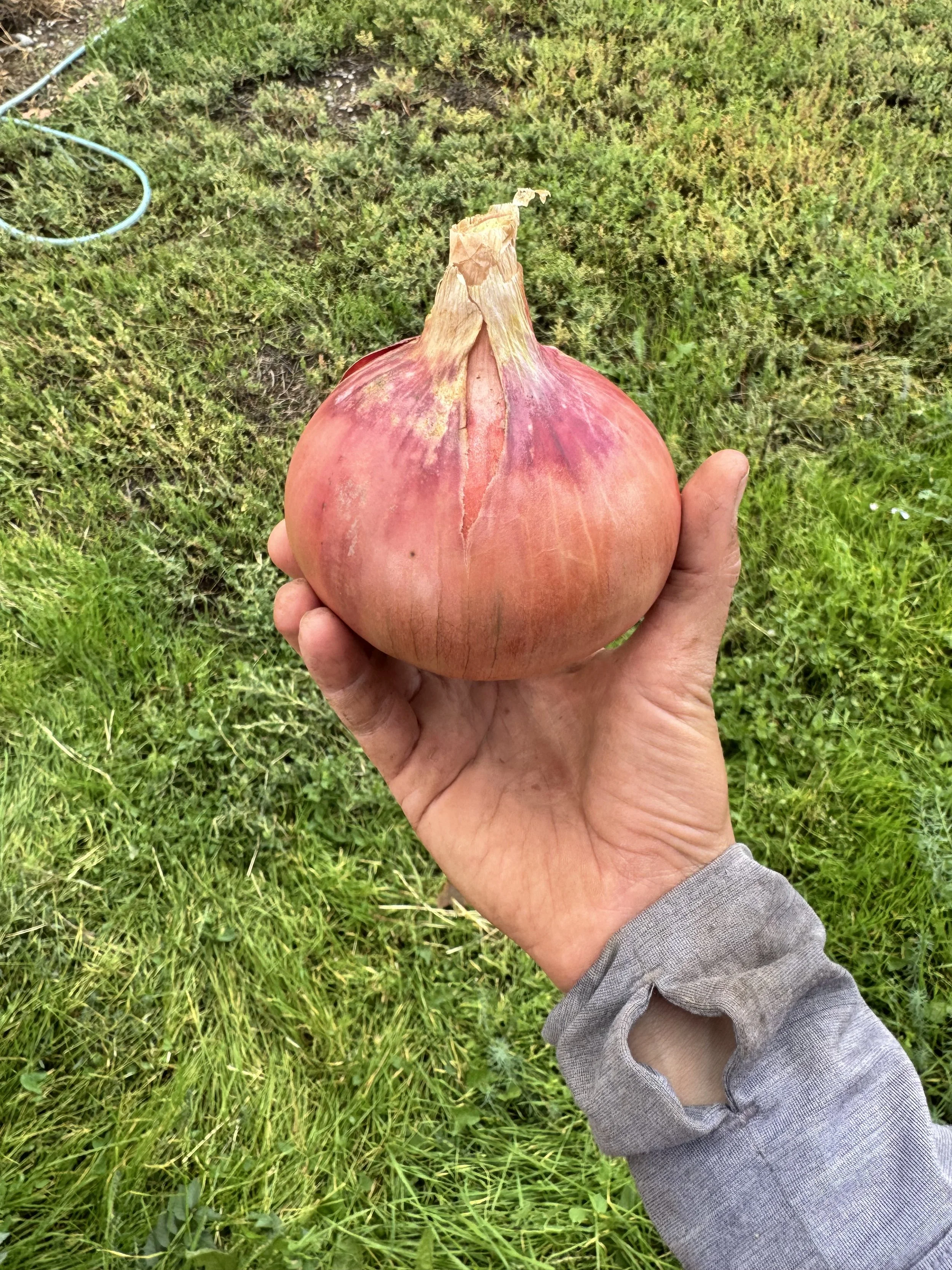 IMG_6432.jpeg
