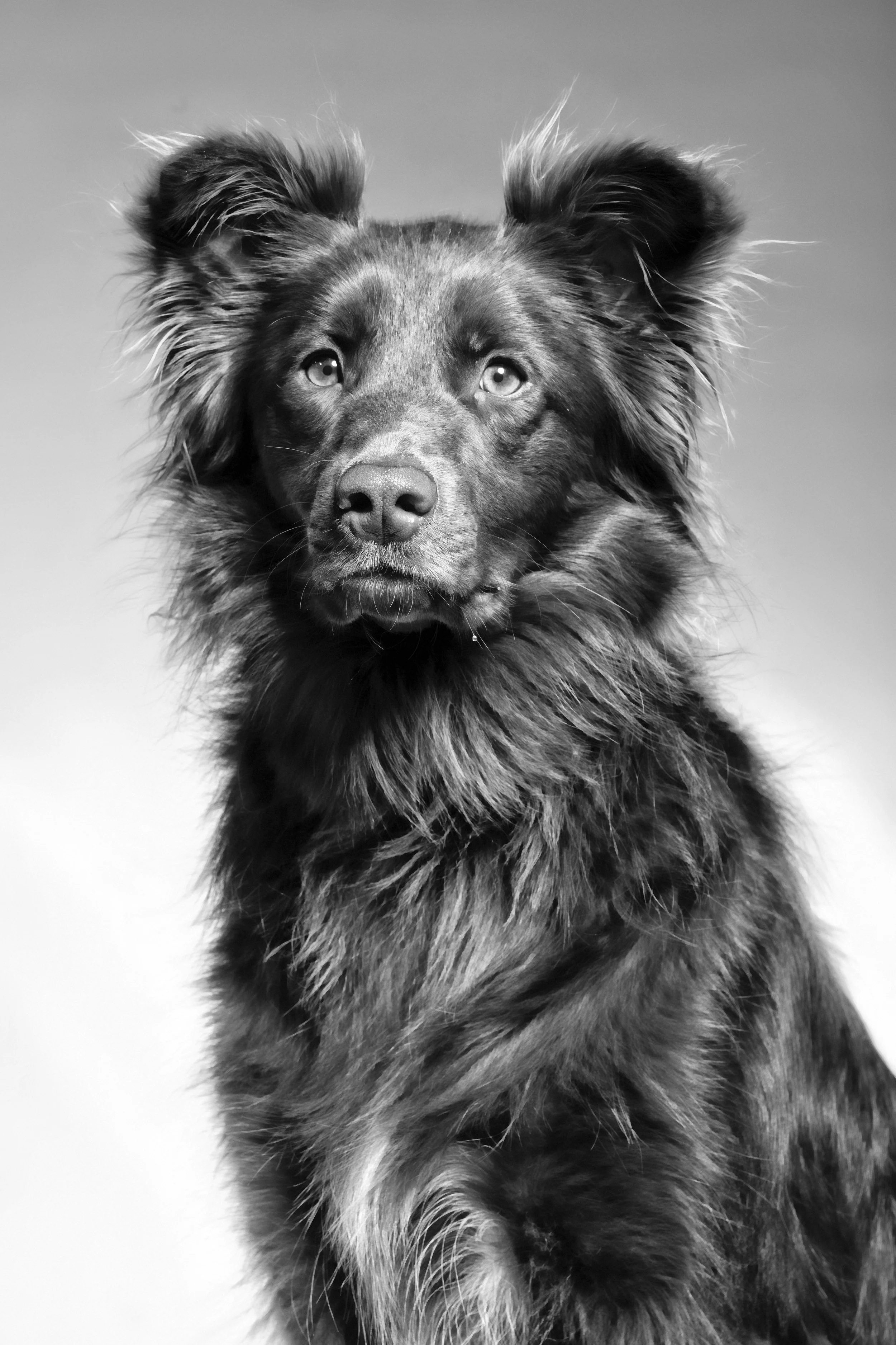 _DSC7381 copy bw.jpg