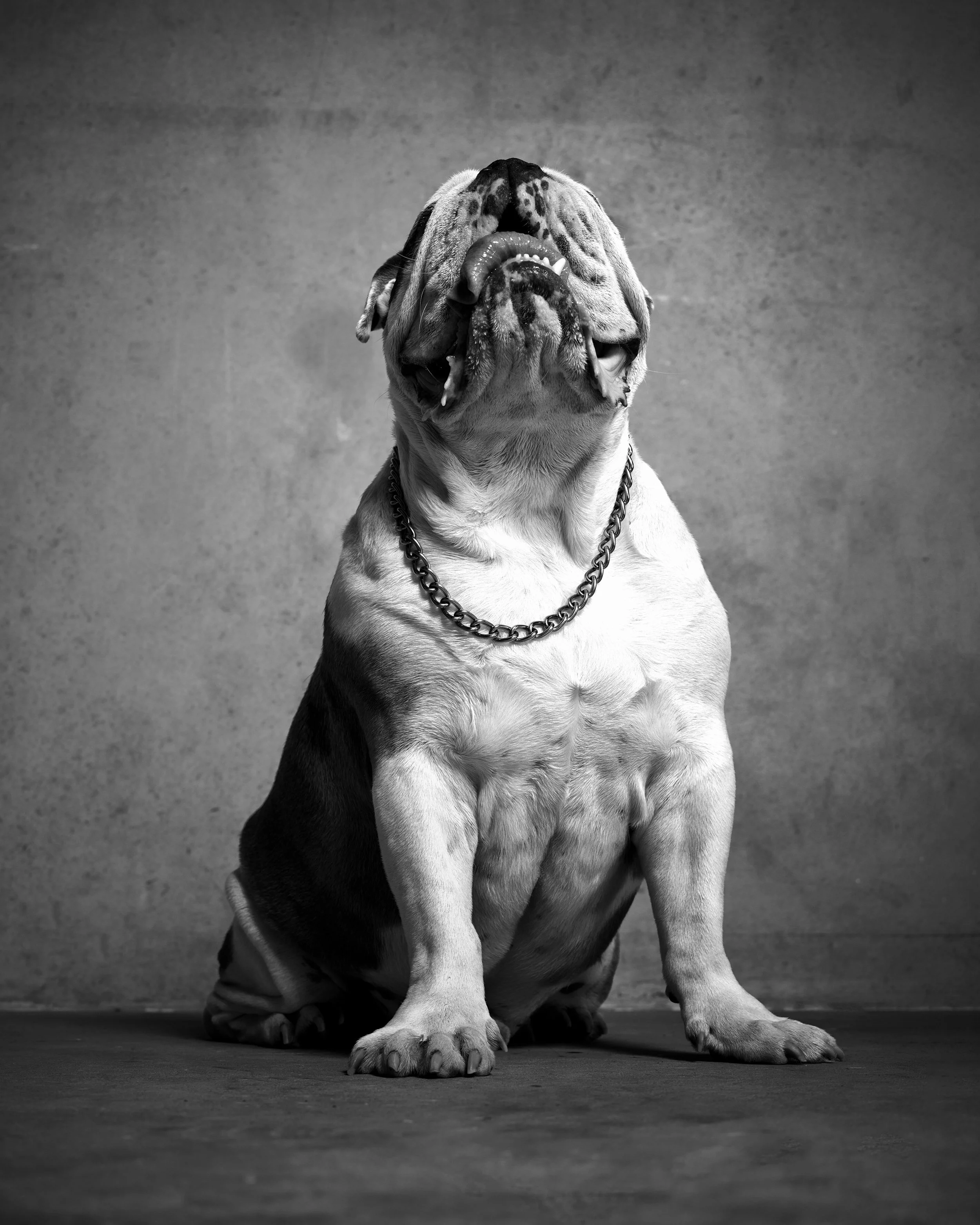 B0001235 copybw copy 2.jpg