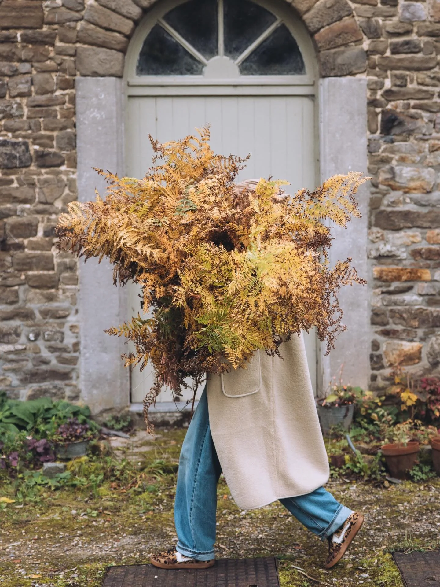 foraging from @storytellingbyfemkedam perspective !!