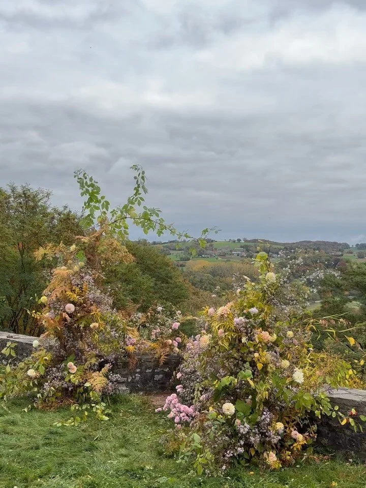 An autumnal install with a magical view &mdash; I am endlessly drawn to airy moments &amp; softness juxtaposed against the rich, textural autumn foliage. It makes my heart skip a beat. Even better to create alongside some incredible women 🍂🍁