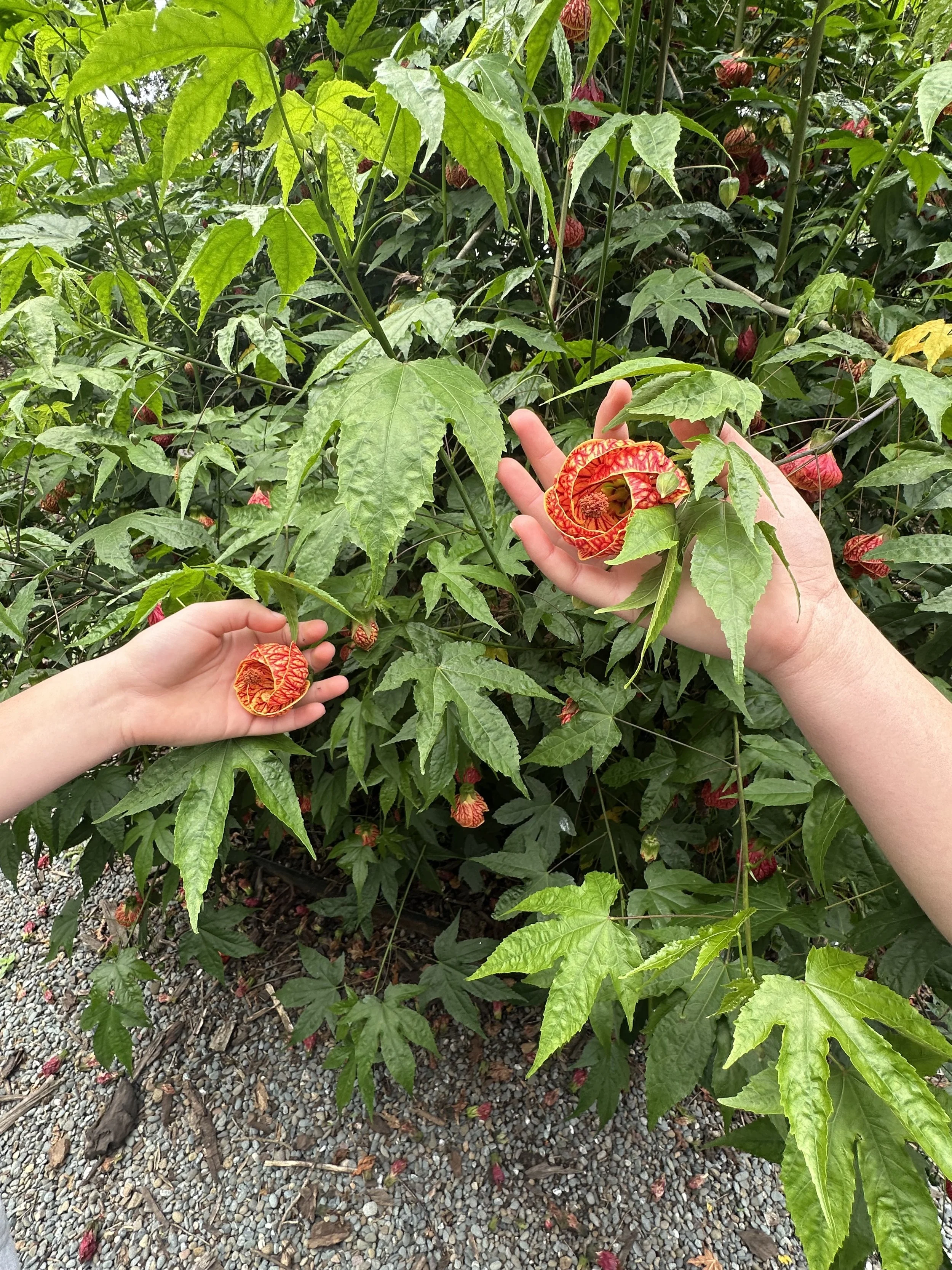 Photo Apr 26 2026, 12 45 08 PM.jpg