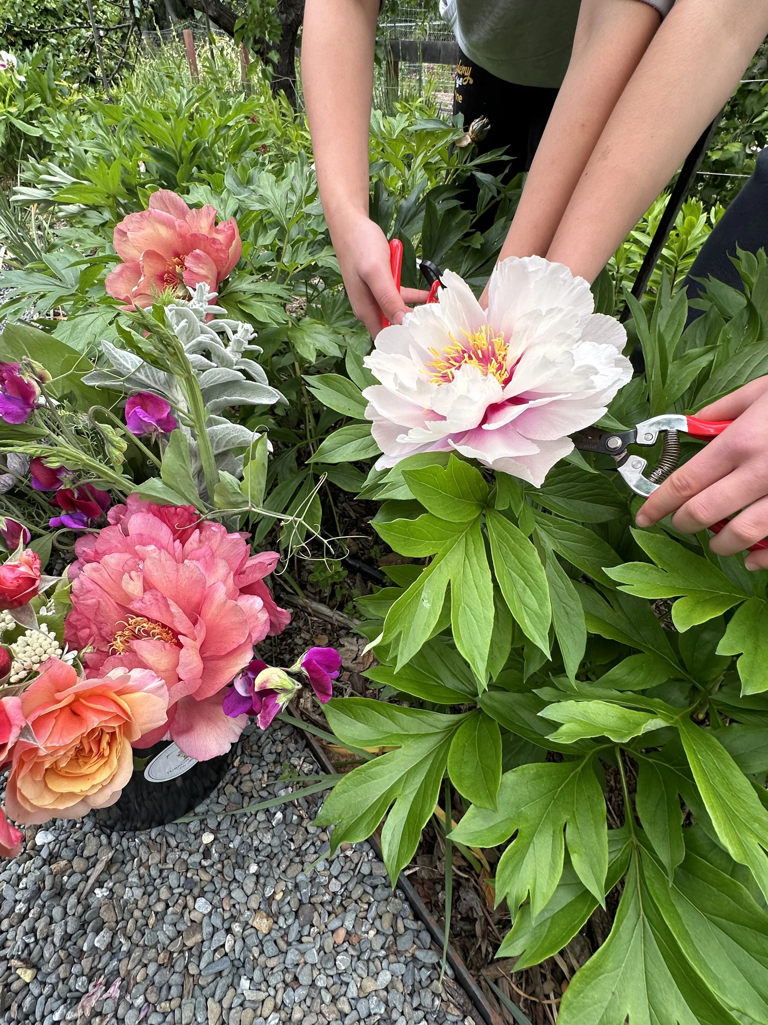 Photo Apr 26 2026, 12 44 13 PM.jpg