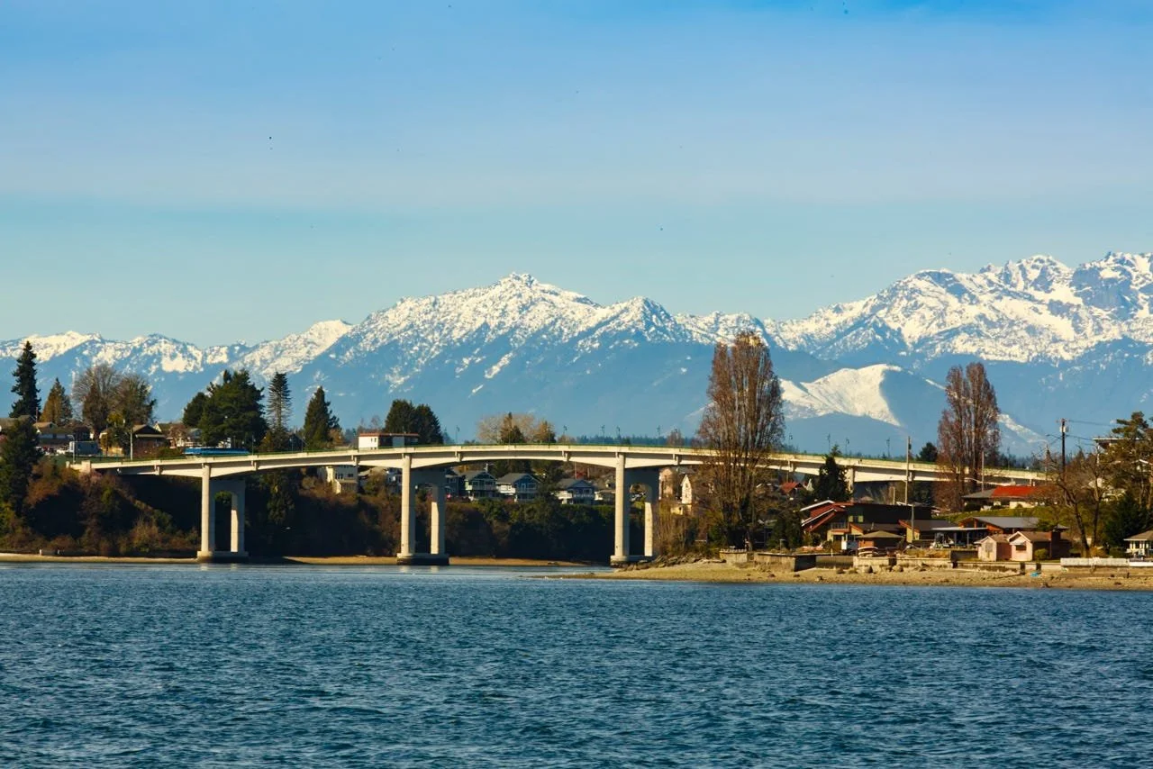 Scenic view of the Mannette Bridge in Bremerton with houses and trees in the foreground, and the Olympic mountains under a clear blue sky in the background.