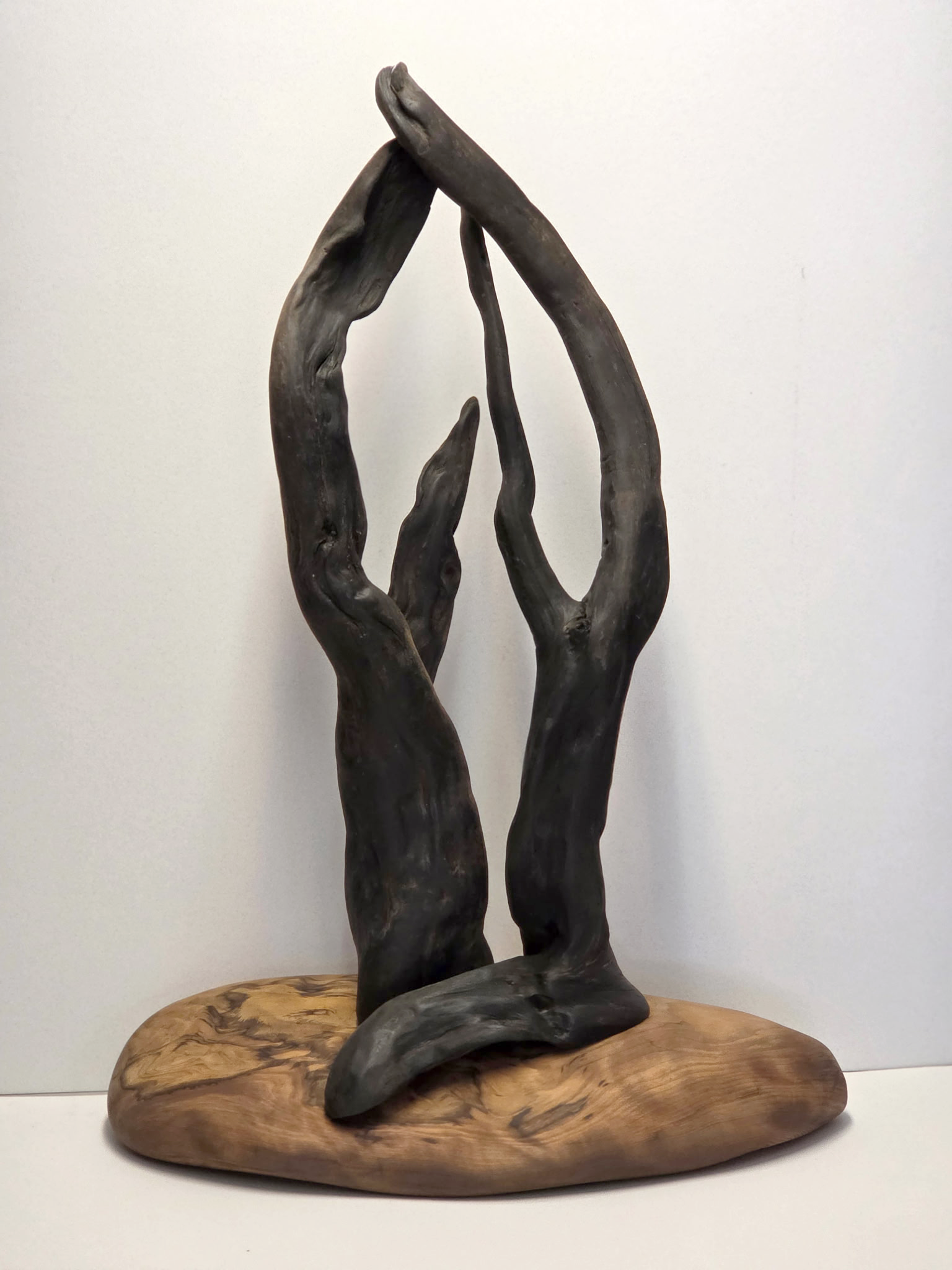 black and brown retouched.png