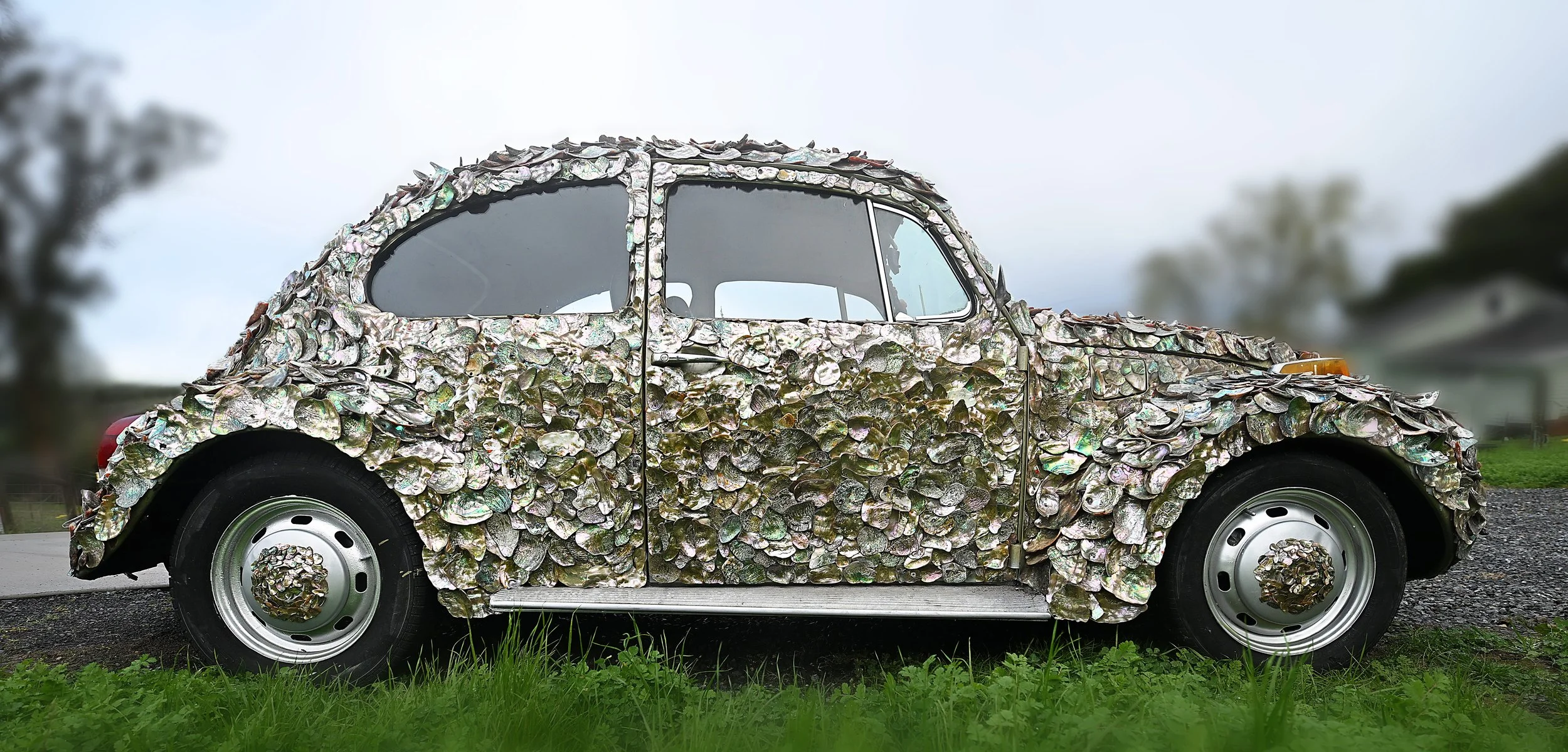 Bugaloni VW Bug +2000 Abalone