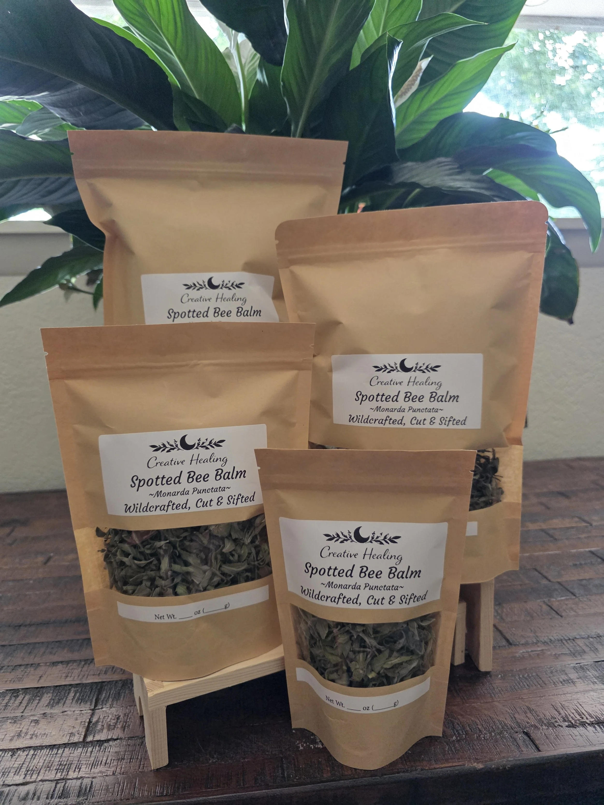 Spotted Bee Balm Herb (Wildcrafted, Cut & Sifted) (Monarda Punctata)