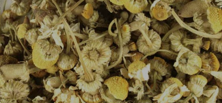 Screenshot 2026-04-08 212316.png