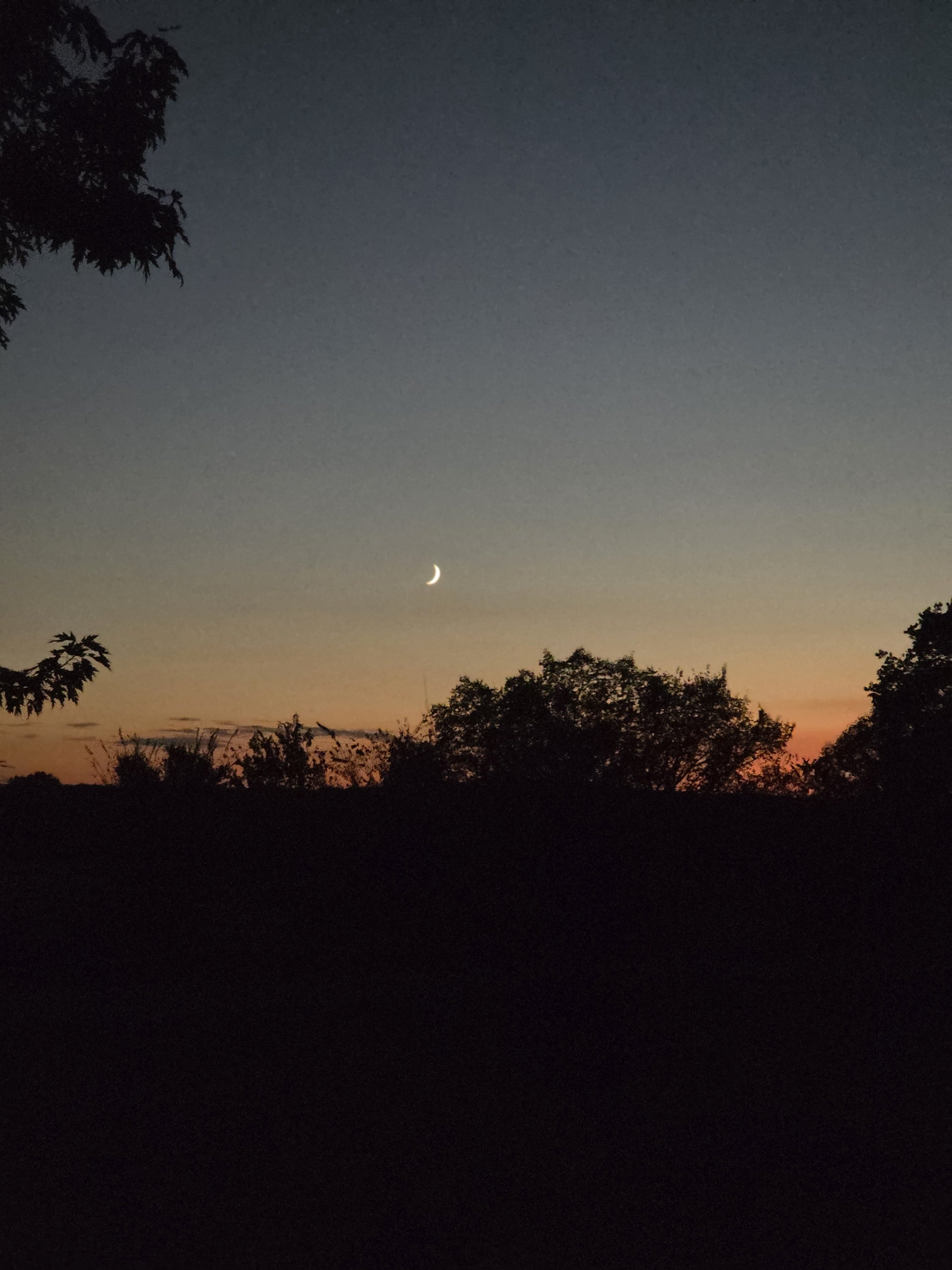 A sunset or twilight sky with a crescent moon, silhouette of trees on the horizon, and gradient colors from orange to dark blue.