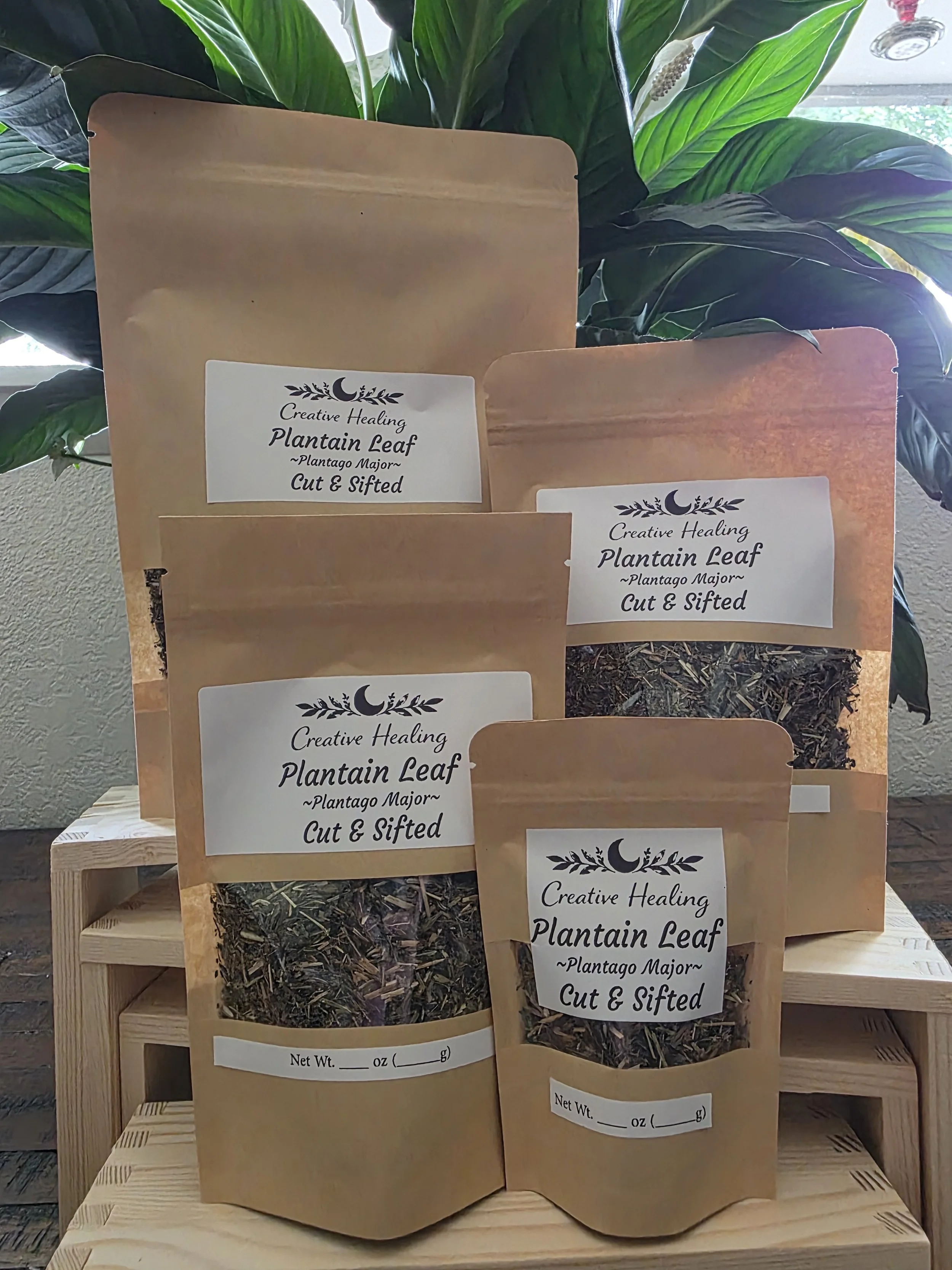 Plantain Leaf (Cut & Sifted) (Plantago major)